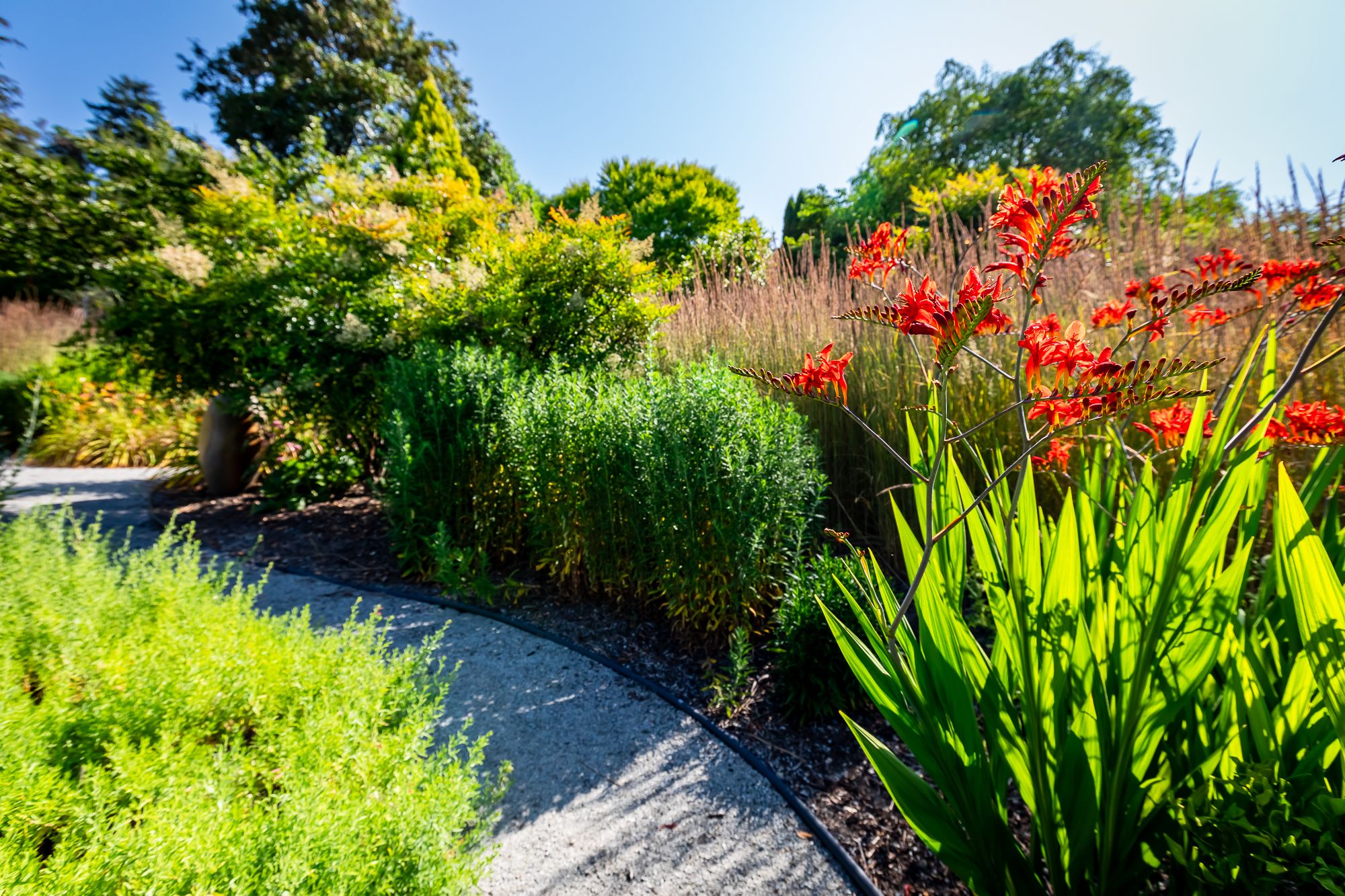 The Walkable Garden