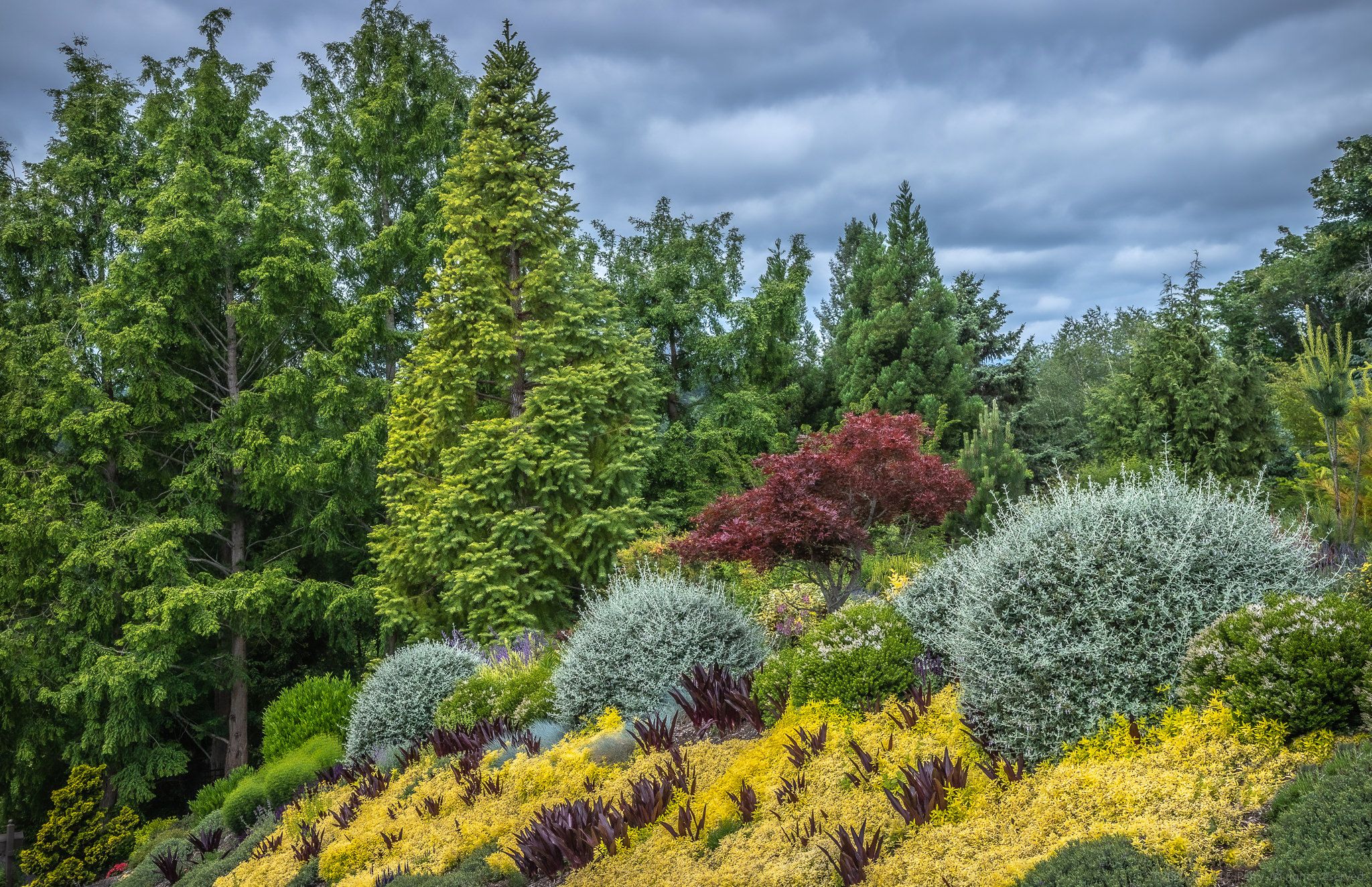 Vista Gardens Through the Seasons - Archival Photos