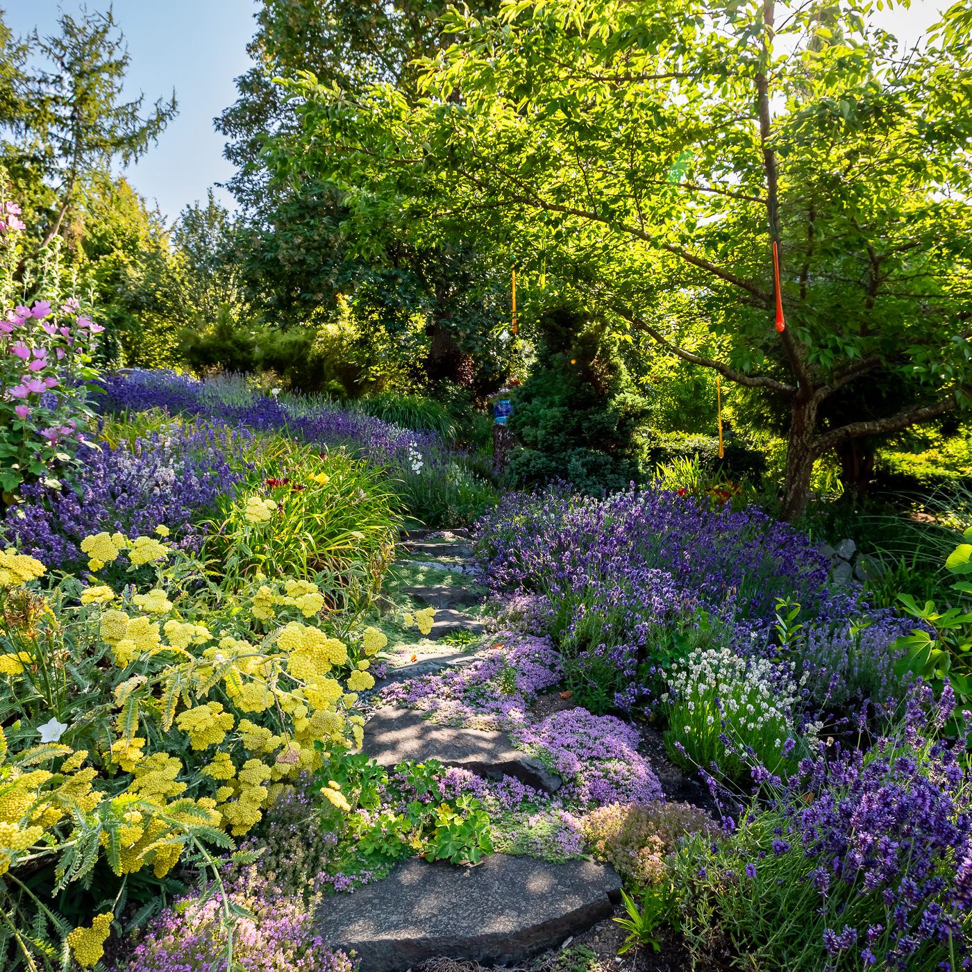 Vista Gardens - Botanical Garden in Bremerton, WA | Sustainable