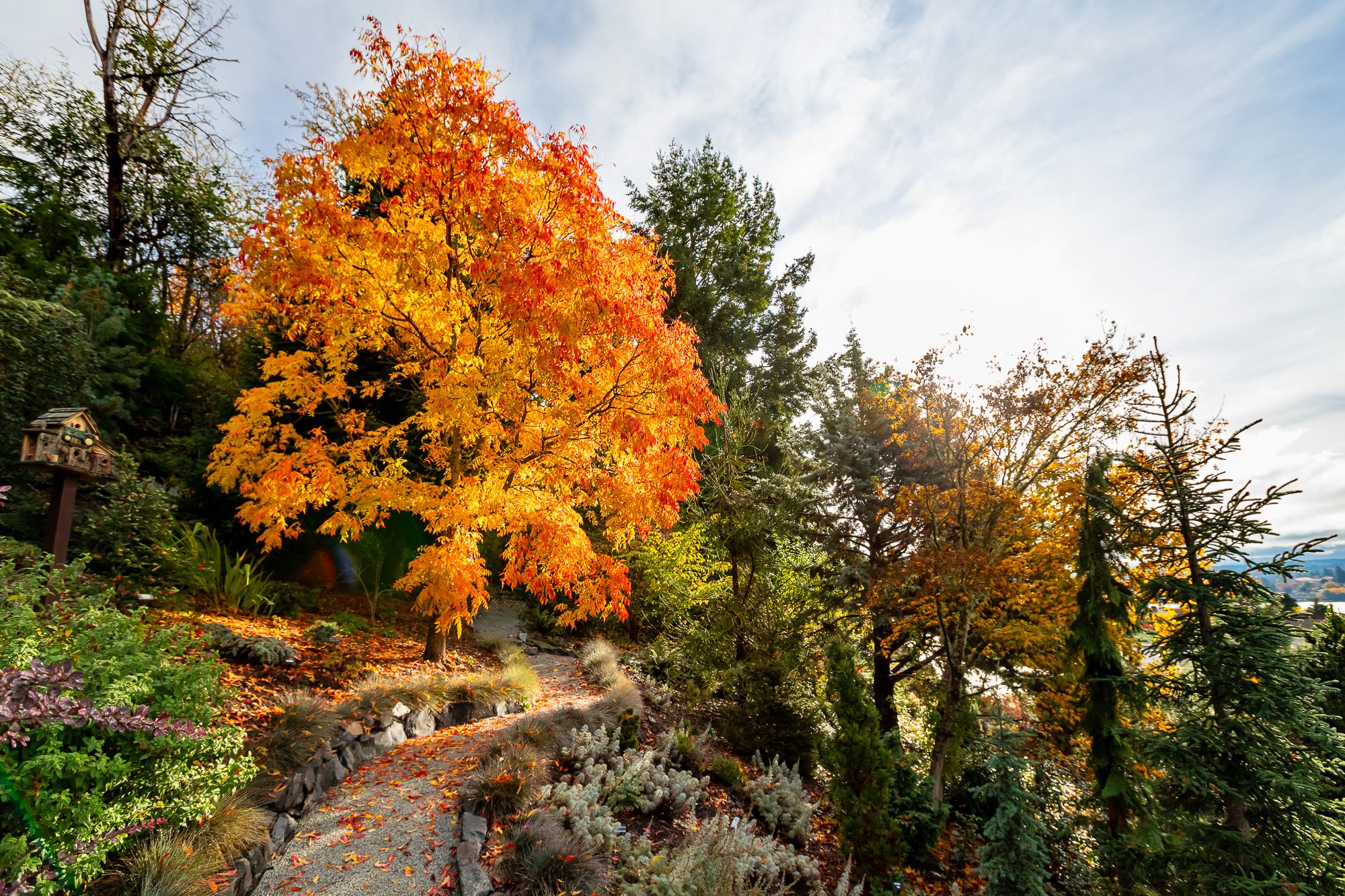 Open Garden Day