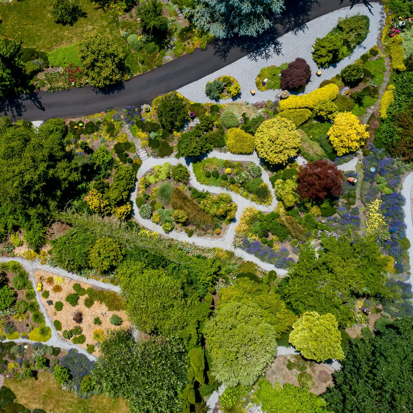 ☘️aiiKEN73*Garden☘️ショールーム☘️AG20260626 Vista Gardens Diverse and Delightful Garden Areas | Bremerton, WA