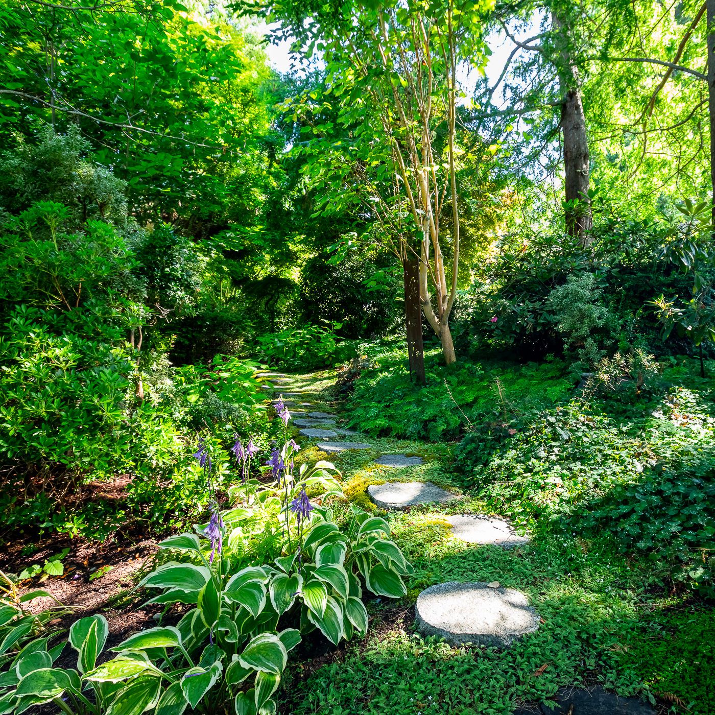 Join the Vista Gardens Membership | Support Sustainable Gardening