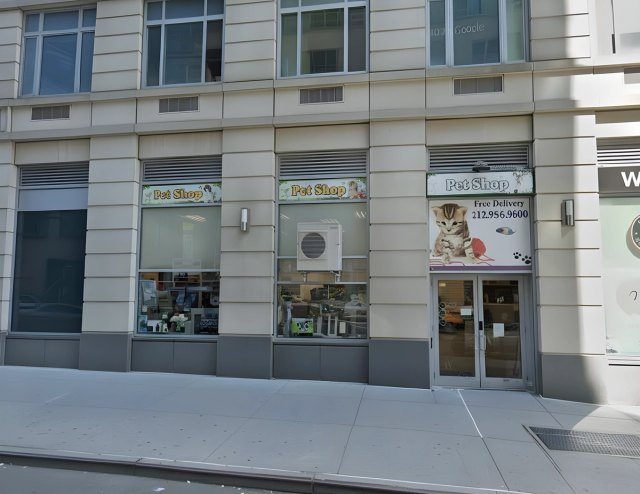 325 West 61st Street