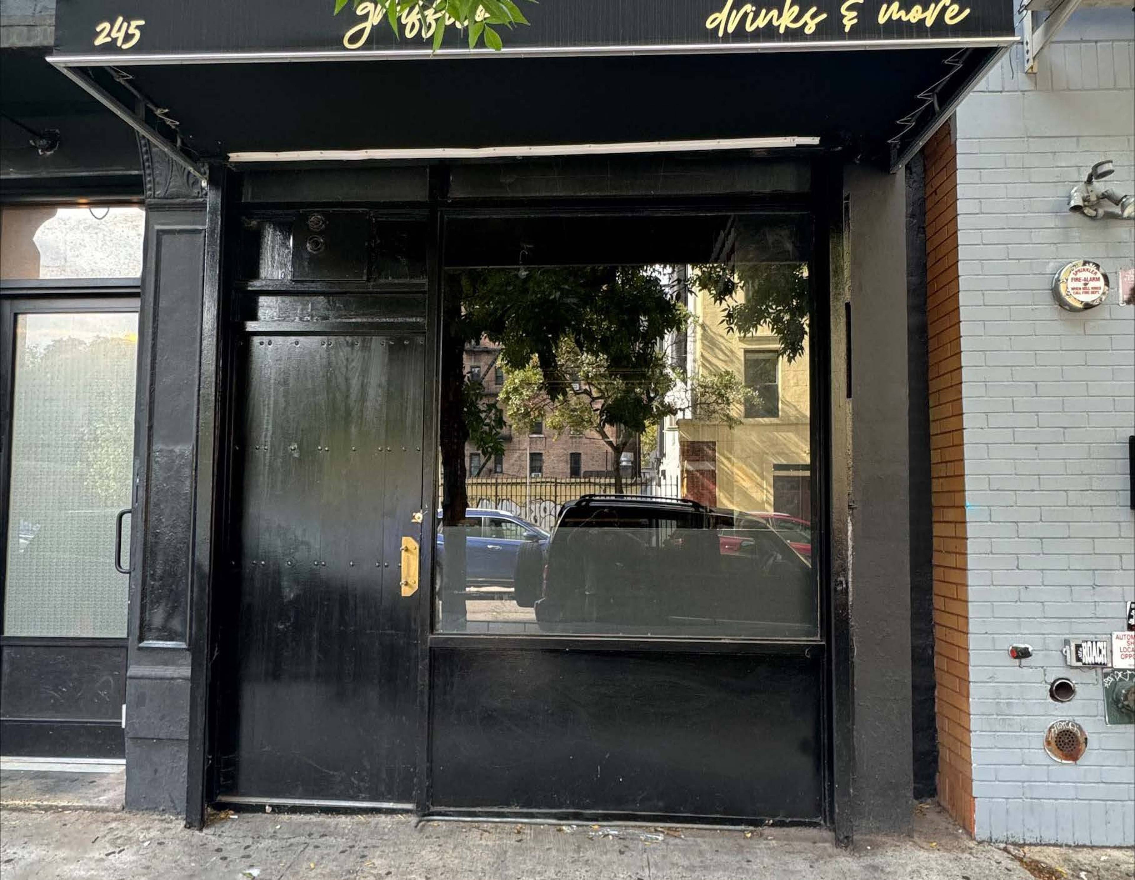 245 Eldridge Street
