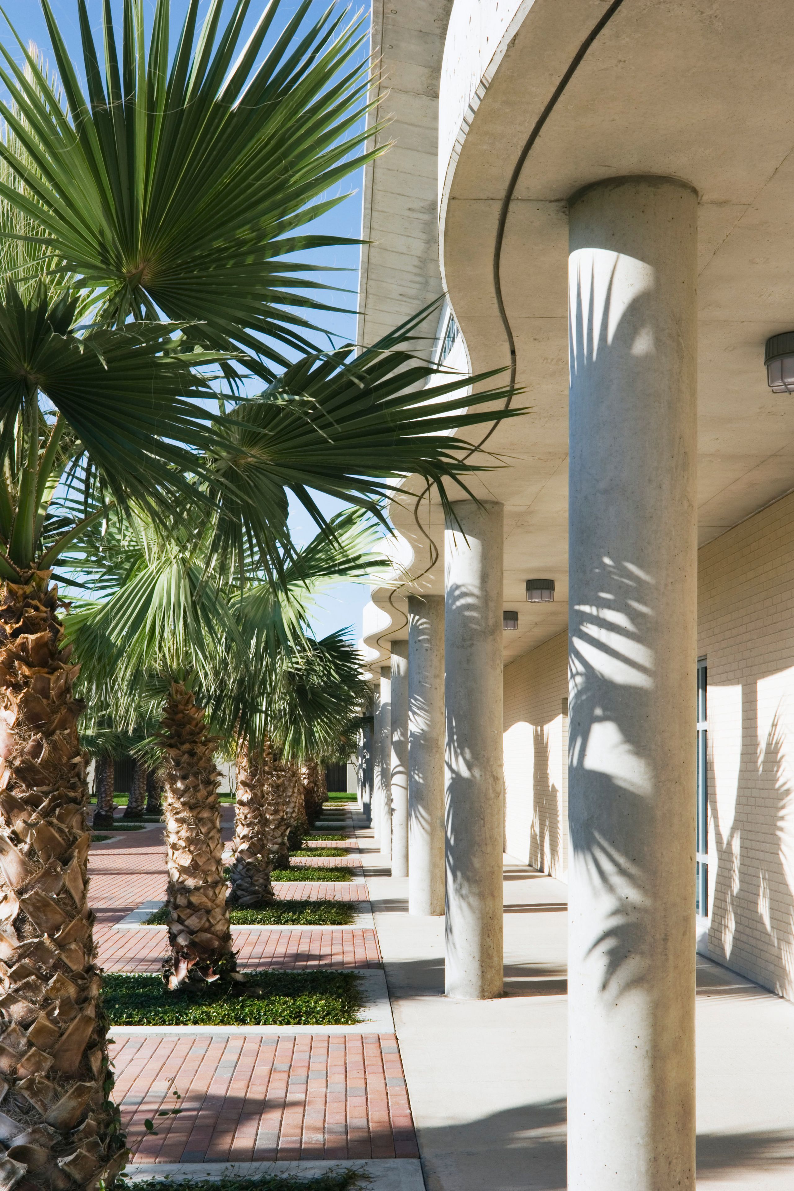 Bay Hall Texas A&M - Corpus