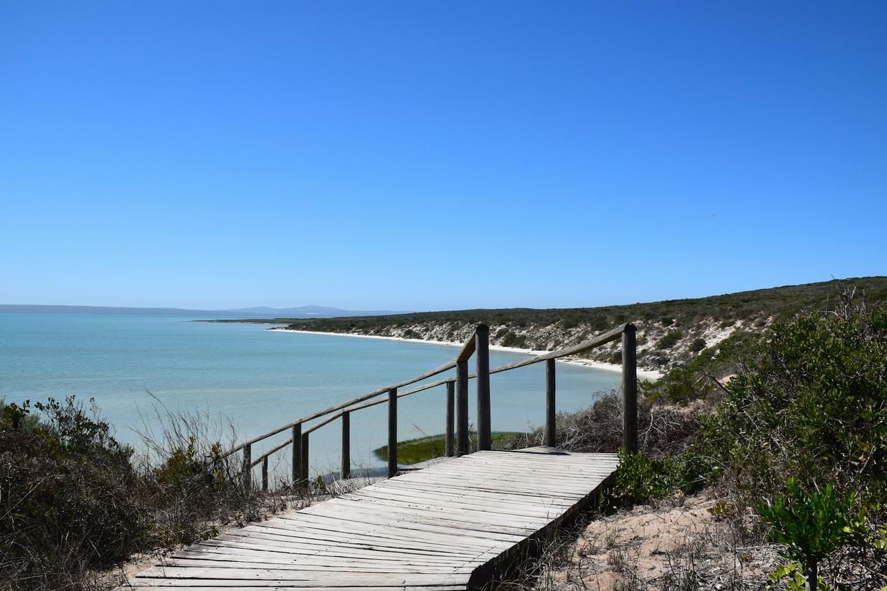 A wooden boardwalk through coastal fynbos above Langebaan Lagoon in the West Coast National Park
