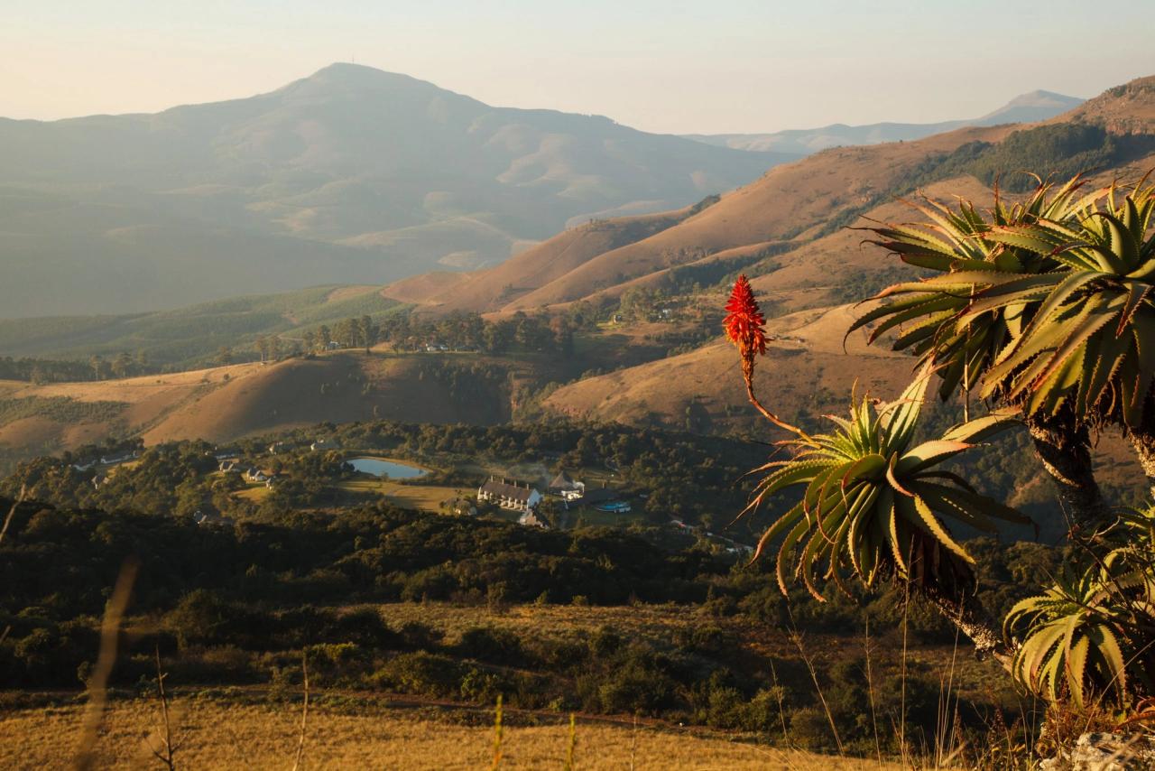 Mount Sheba Rainforest Hotel & Resort