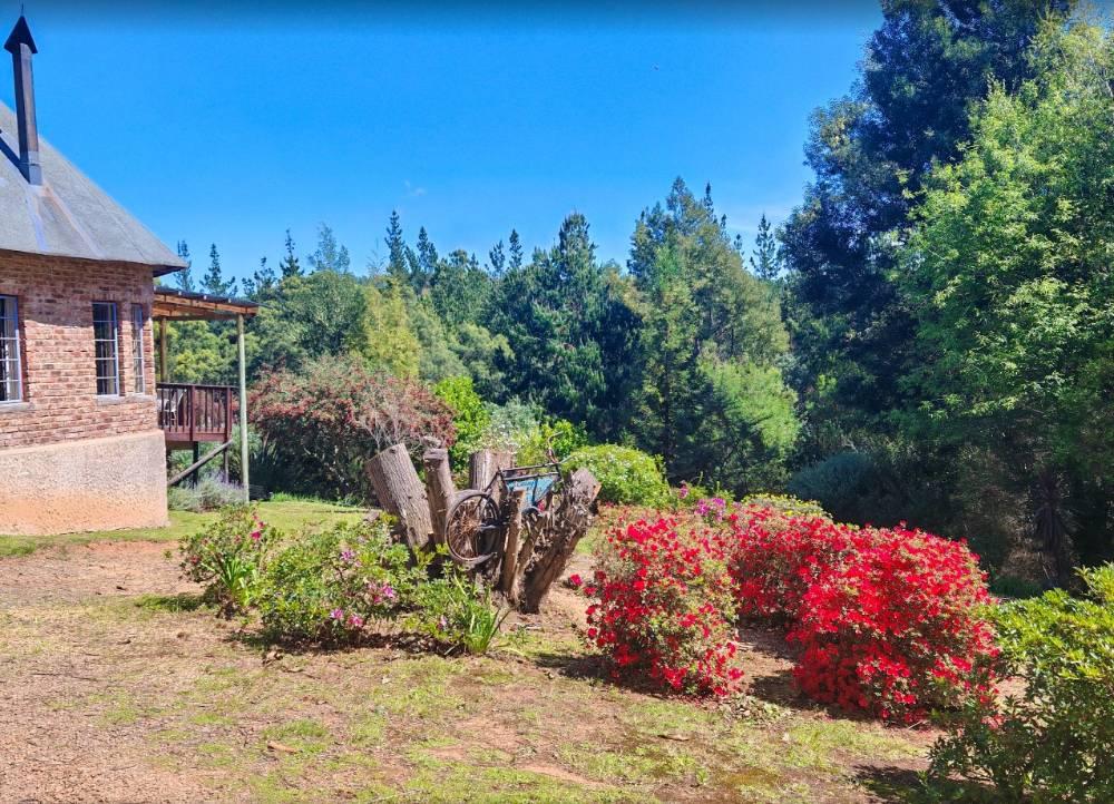 Brick cottage at Athanor Cottages in Hogsback, with a garden of red azaleas and forest behind it