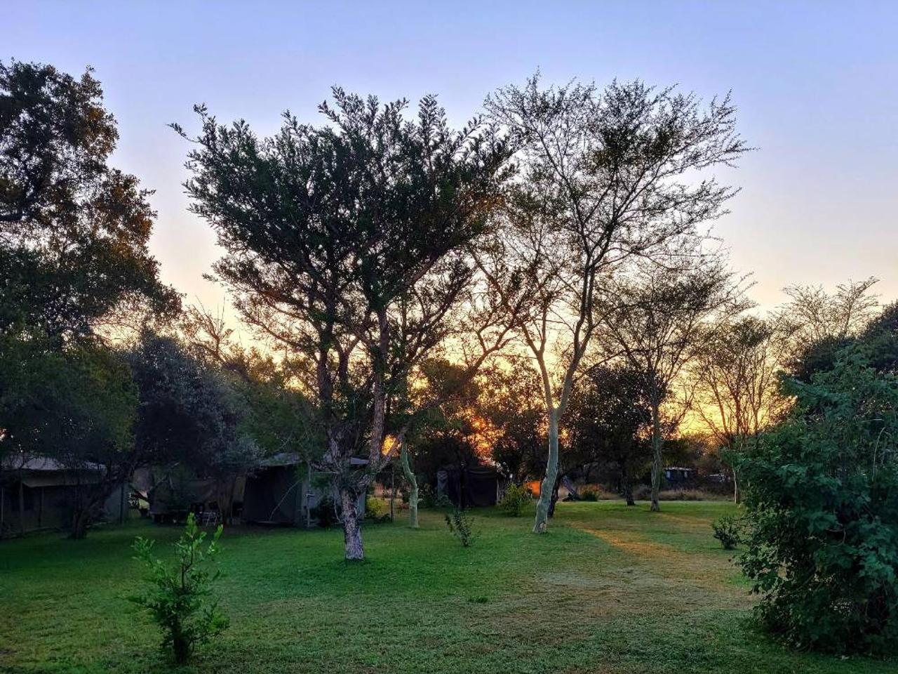 Sunset through acacia trees over the safari tents at Thorn Tree Bush Camp in Dinokeng