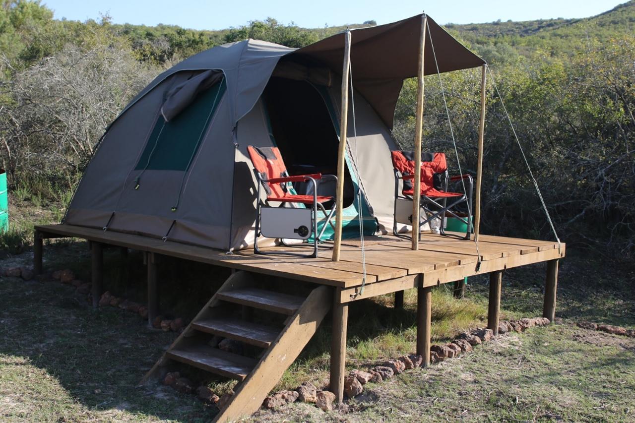 Canvas tent on a raised wooden deck with camping chairs, in the bush at Pabala Private Nature Reserve