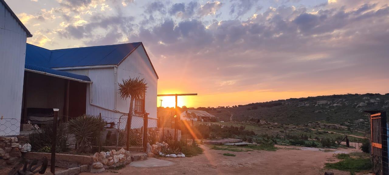 Sunset over the rocky hills behind the white corrugated-iron buildings at Rissibiekie Padstal in Kotzesrus