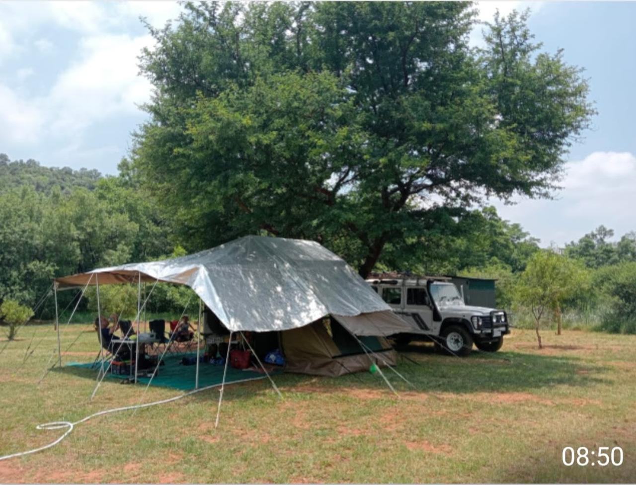 Evergreen camp site