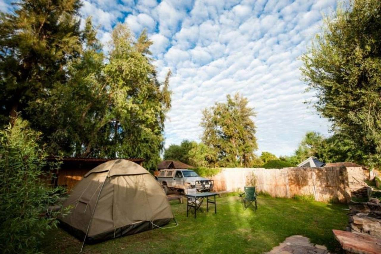Bushwacked camp site