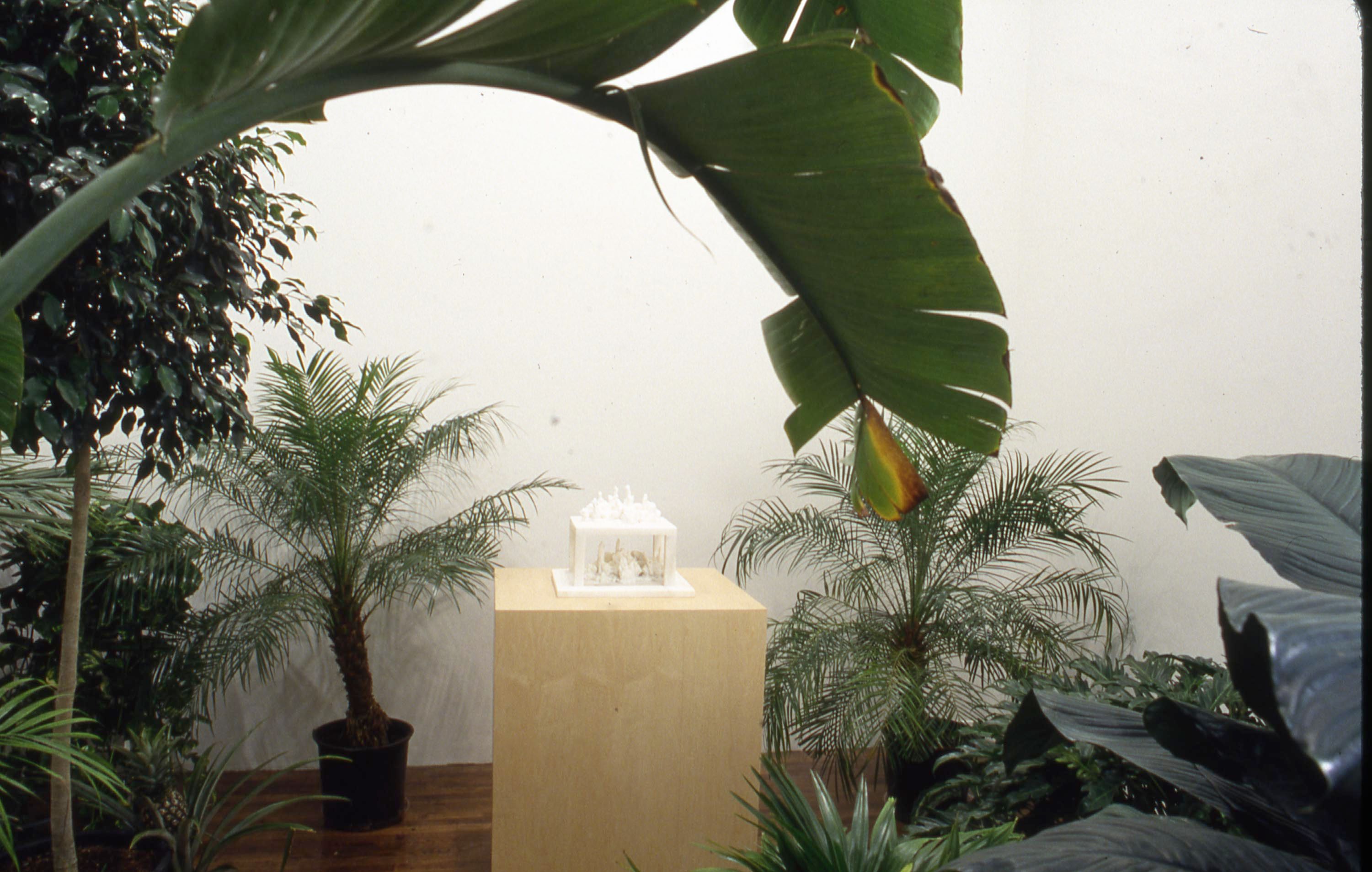 An installation view of the exhibition Yutaka Sone, at David Zwirner New York, dated 1999.