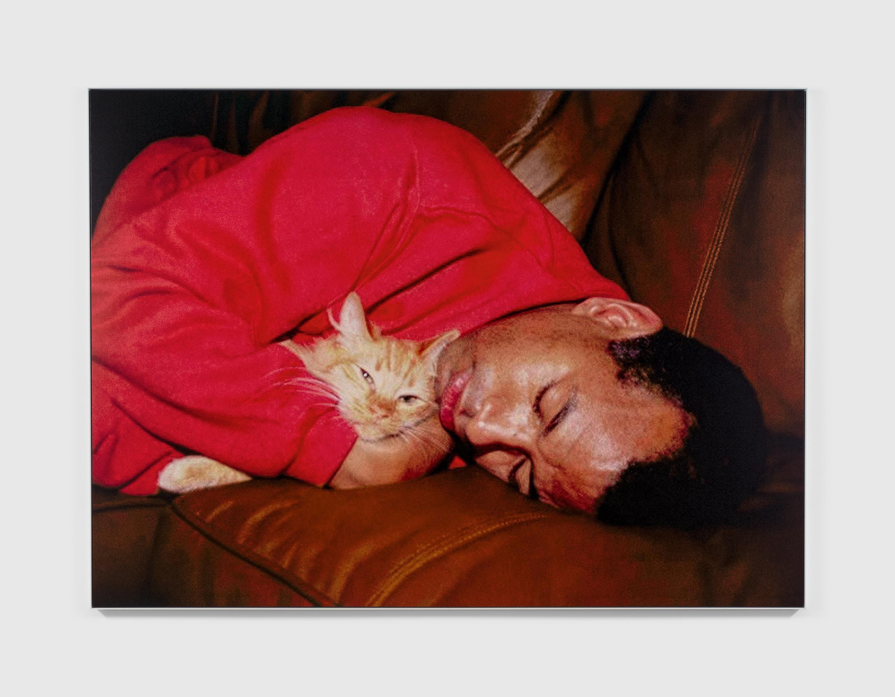 A photograph by Steven Shearer, titled Whiskered Sentinel, dated 2024.