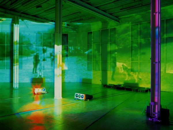Diana Thater — "China"
