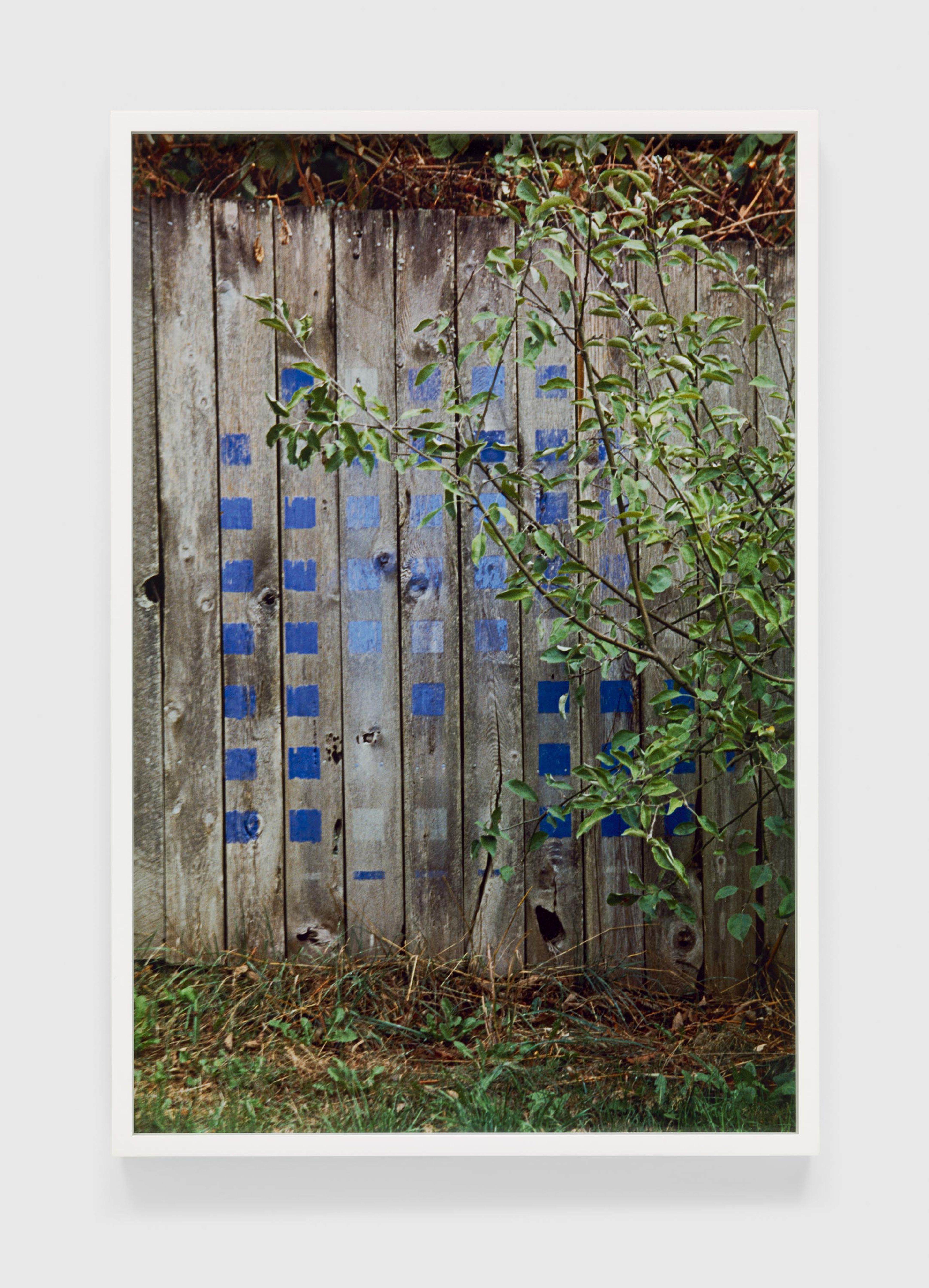 A photograph by Merrill Wagner, titled Blue, Summer Studio 1985-2003, dated 2017.