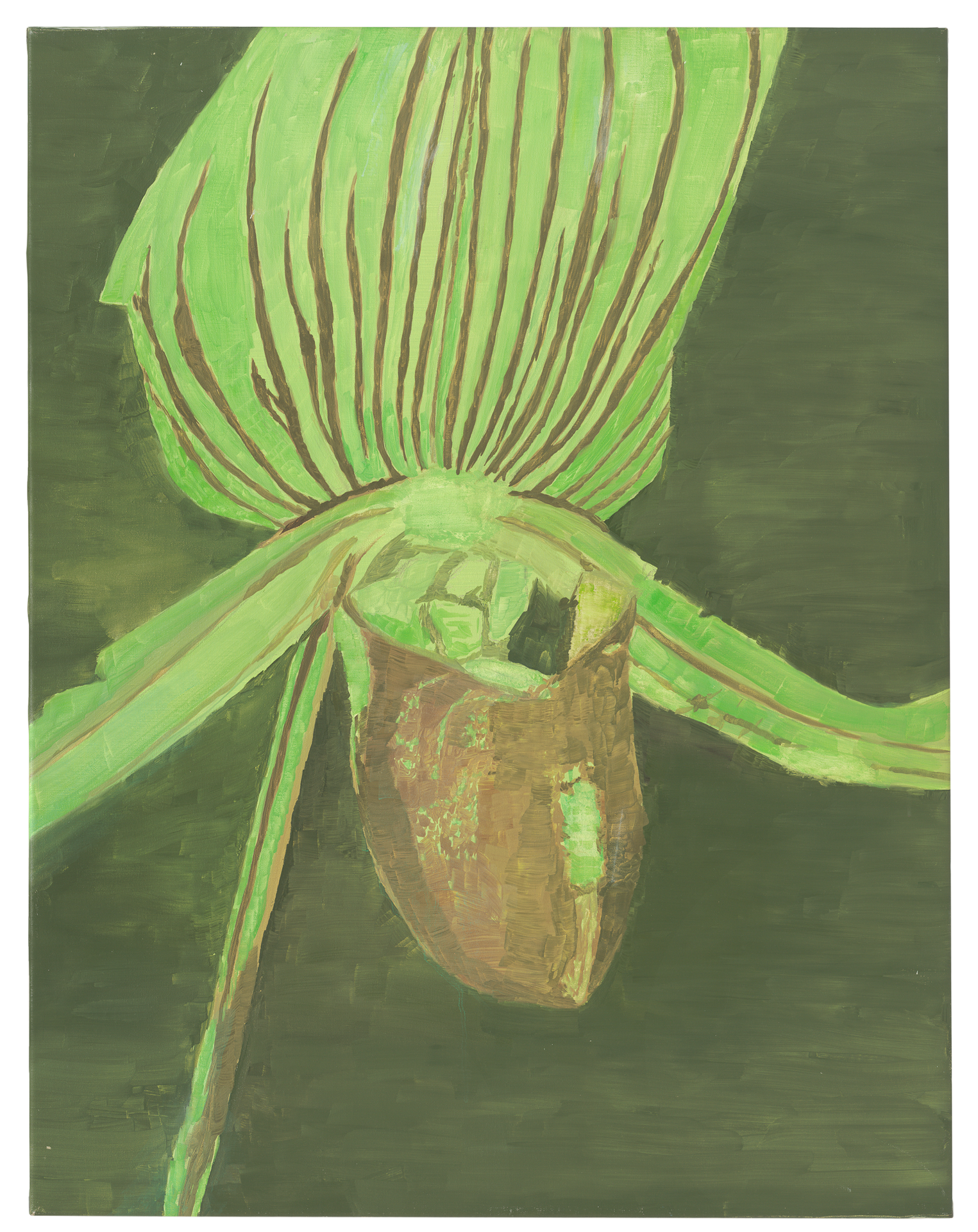 A painting by Luc Tuymans, titled Orchid, dated 1998.