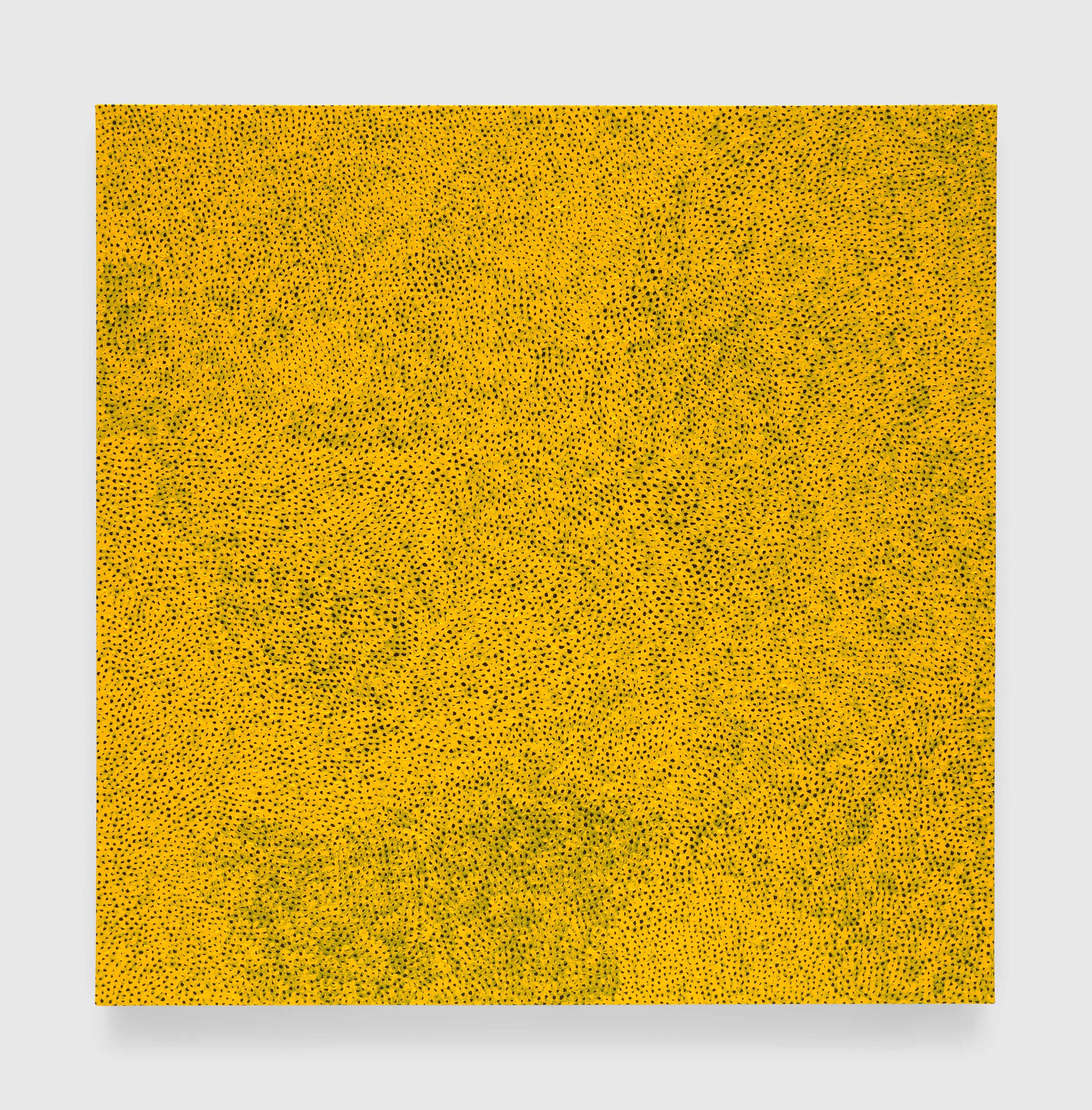 India Art Fair 2026 | David Zwirner