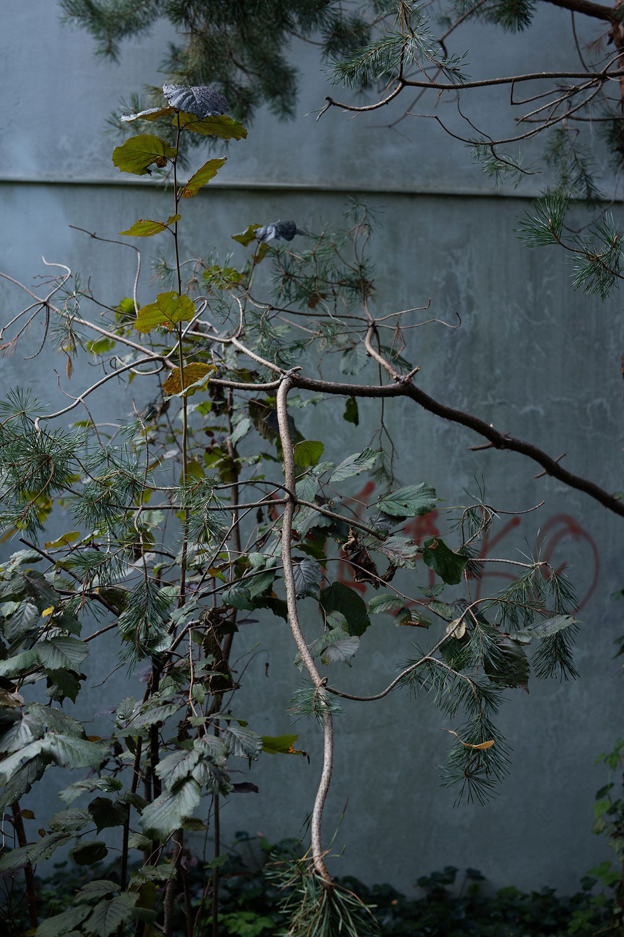 A photograph by Wolfgang Tillmans, titled Vapeur, dated 2017.