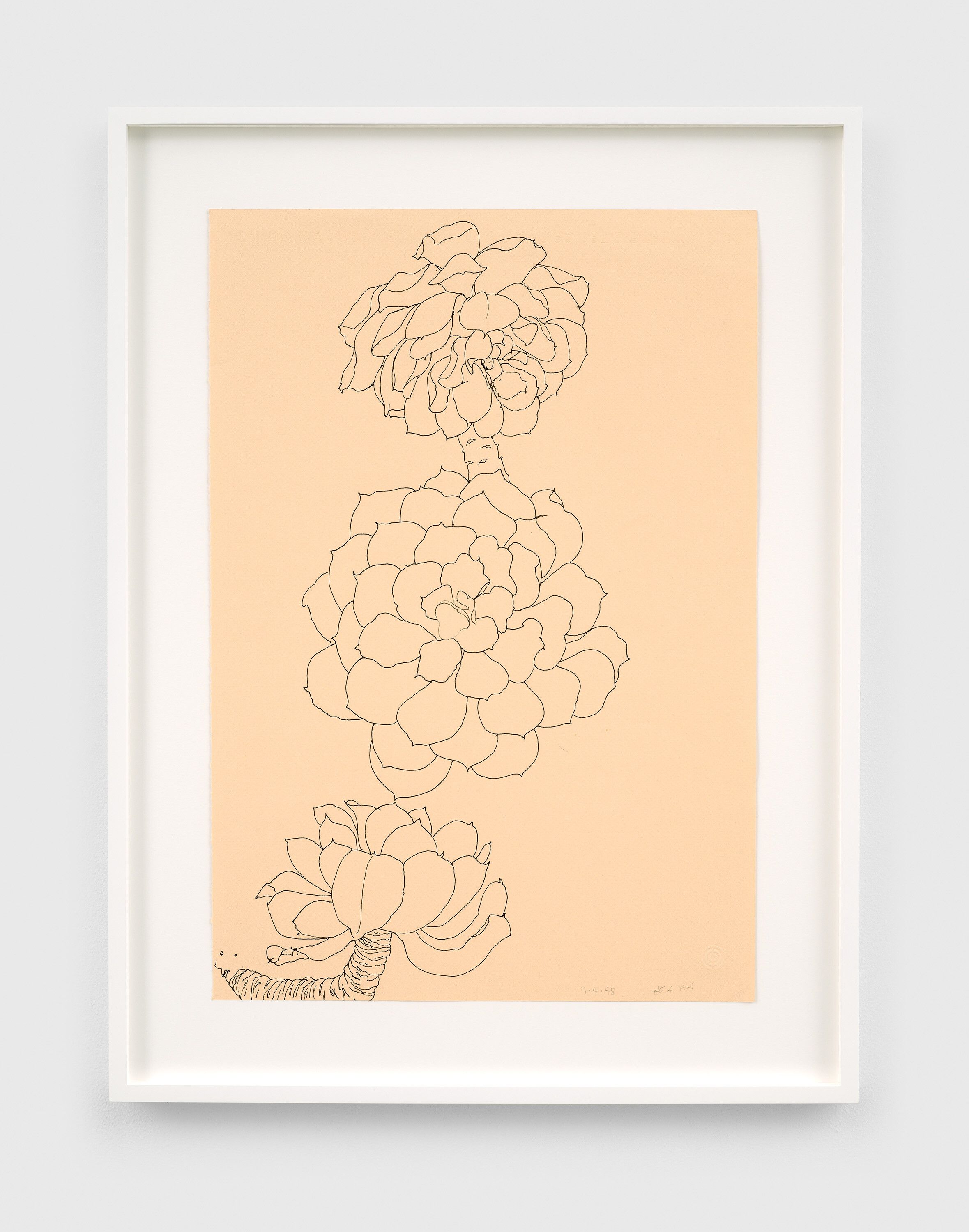 A pen and black ink on colored charcoal paper artwork by Ruth Asawa, titled Untitled (PF.840, Succulent), dated 1998.