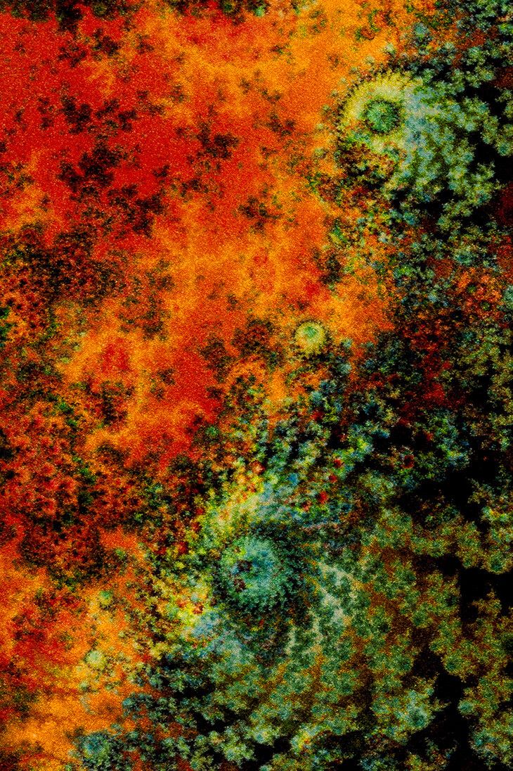 A detail of an artwork by Thomas Ruff titled d.o.pe.04, dated 2022