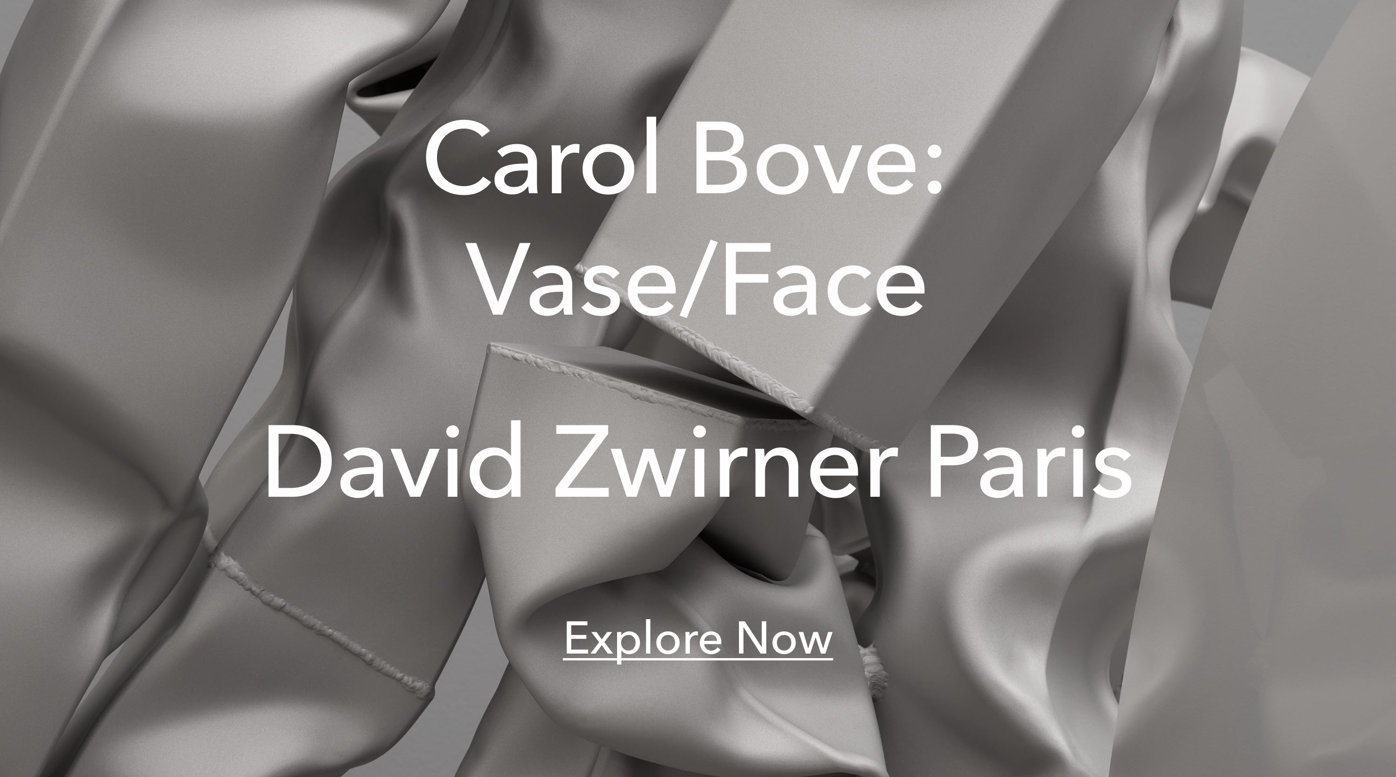 Detail of a Carol Bove sculpture with text overlay reading "Carol Bove: Vase/Face  David Zwirner Paris Explore Now"