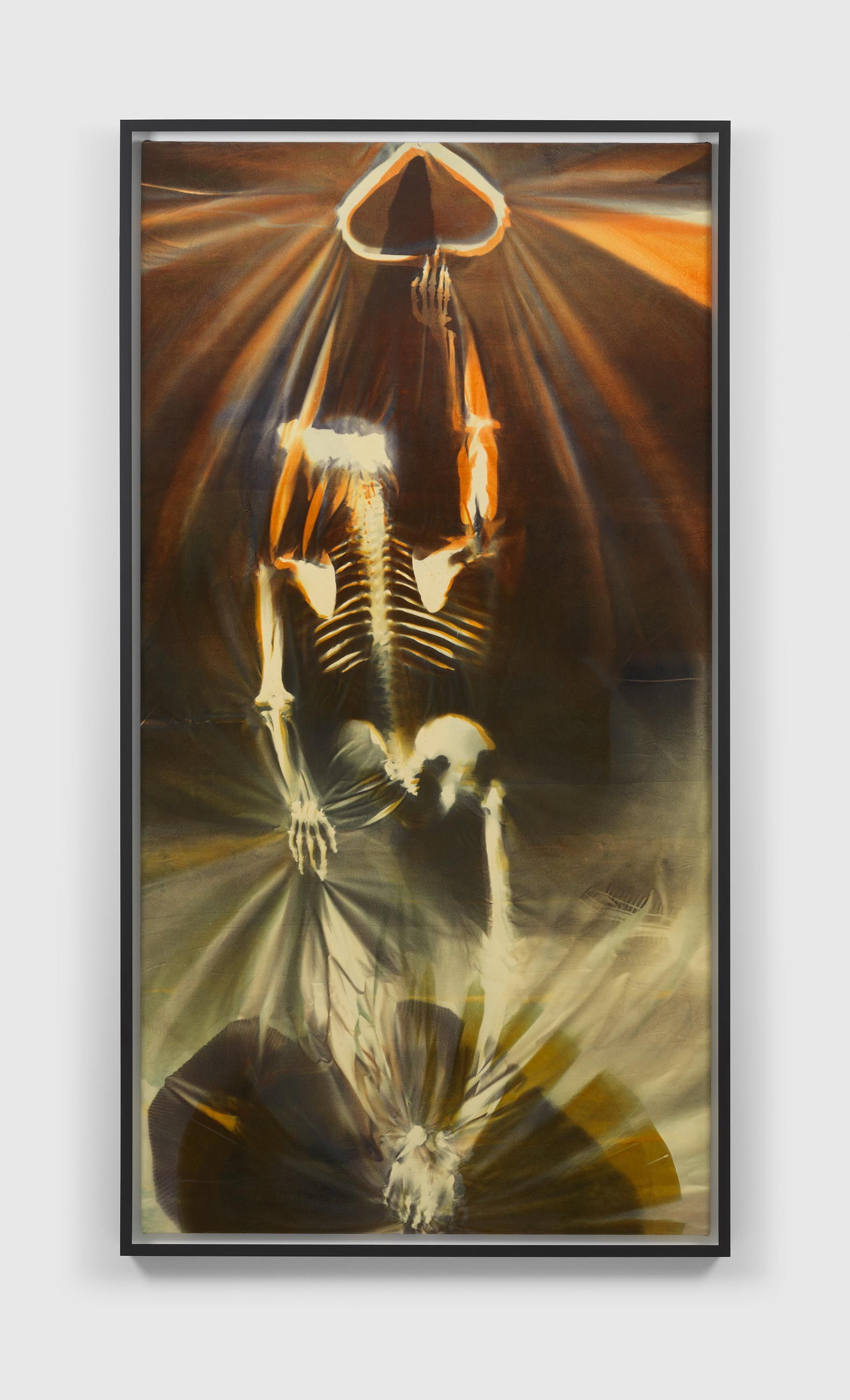 A mixed media artwork by Andra Ursuţa, titled Velvet Limbo, 2021 to 2022.