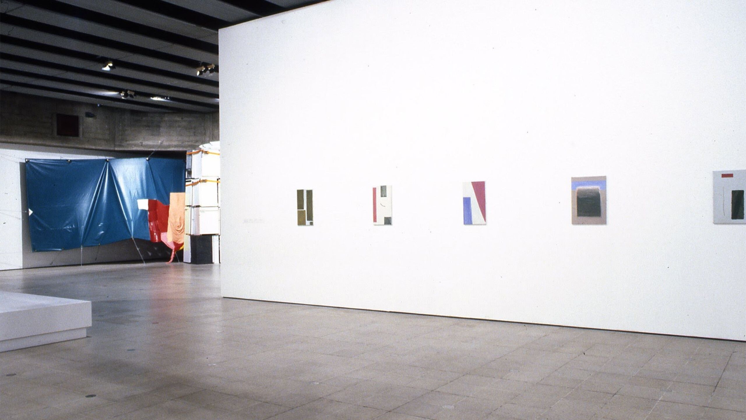 Hayward installation image, Raoul De Keyser