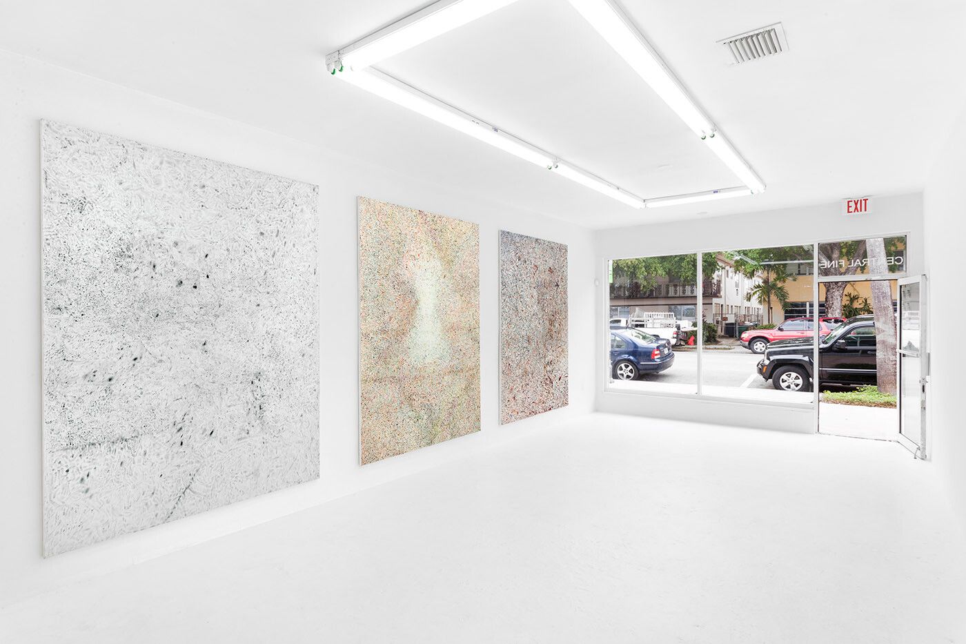 An installation view of an exhibition by Tomm El-Saieh, titled Ant’s Tits.