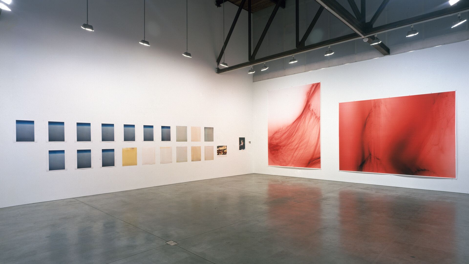 An installation view featuring photographs by Wolfgang Tillmans, dated 2003