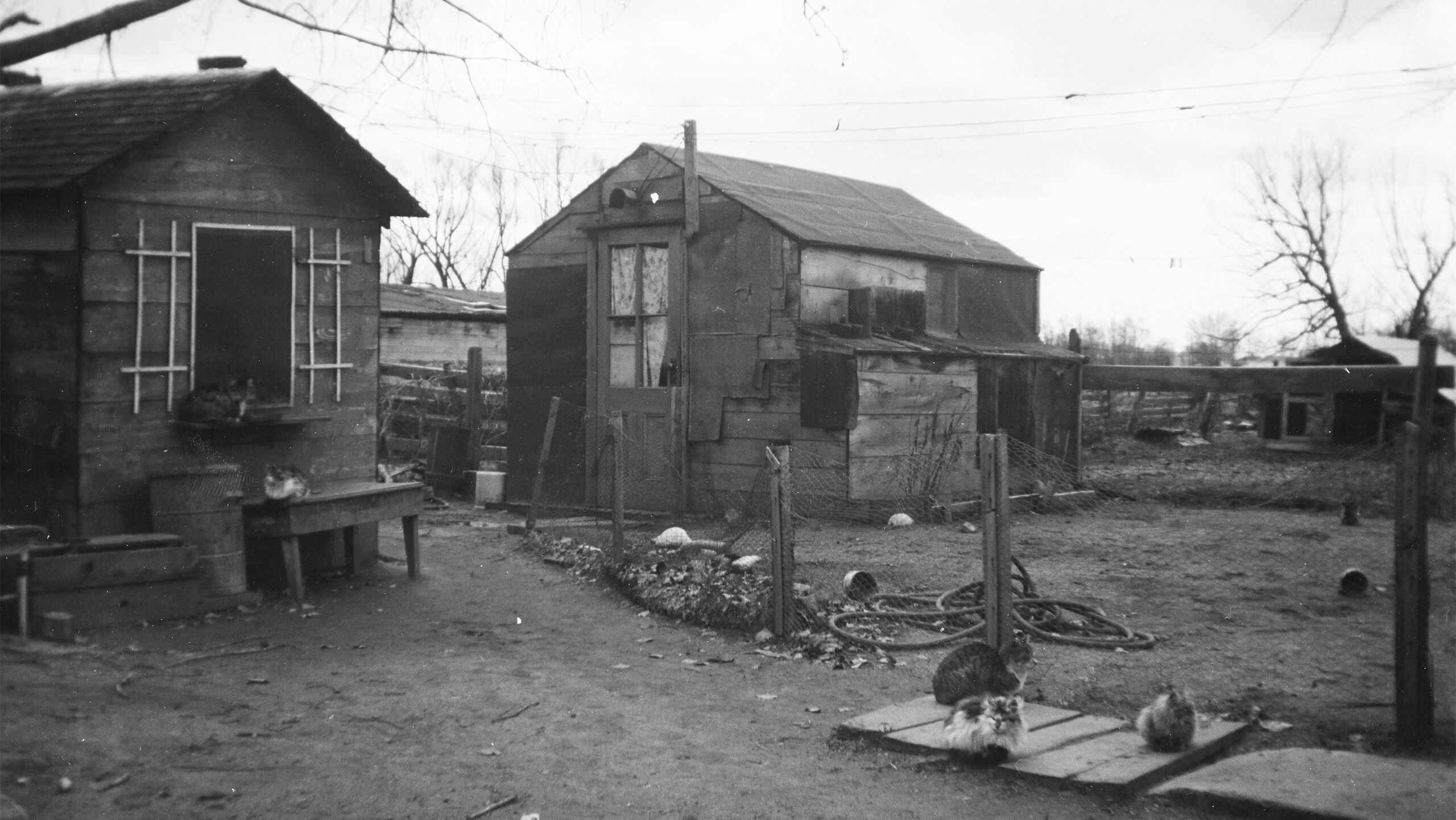 A photograph of the Castle shed in Boise, courtesy of the family