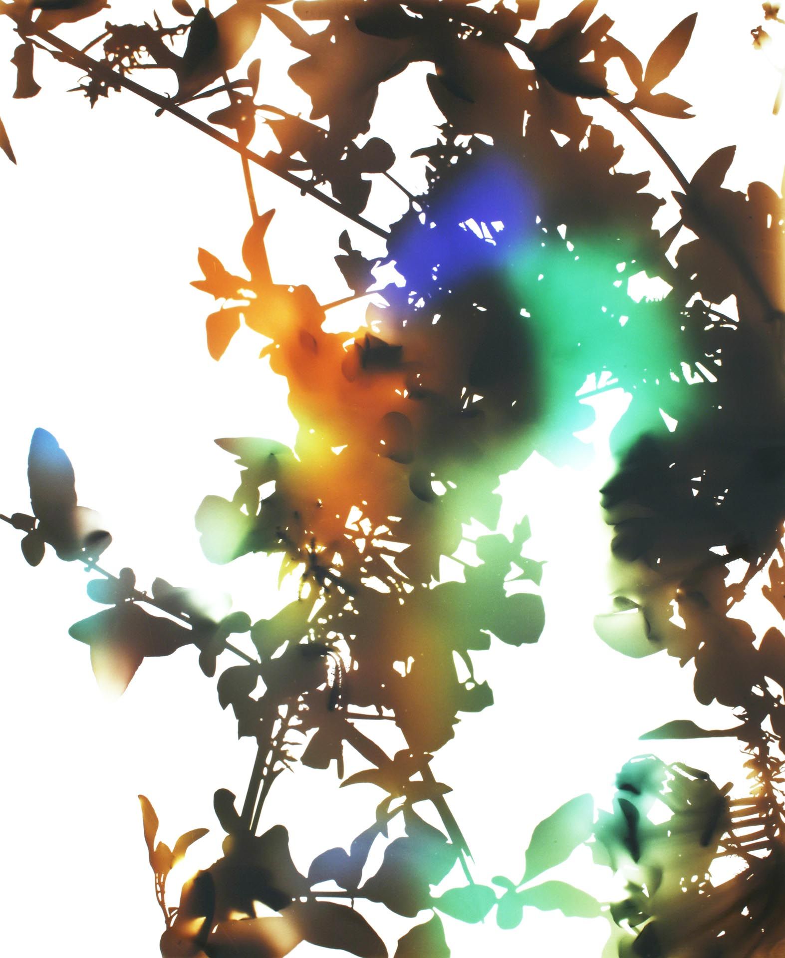 A photograph by James Welling, titled 021, dated 2006. 