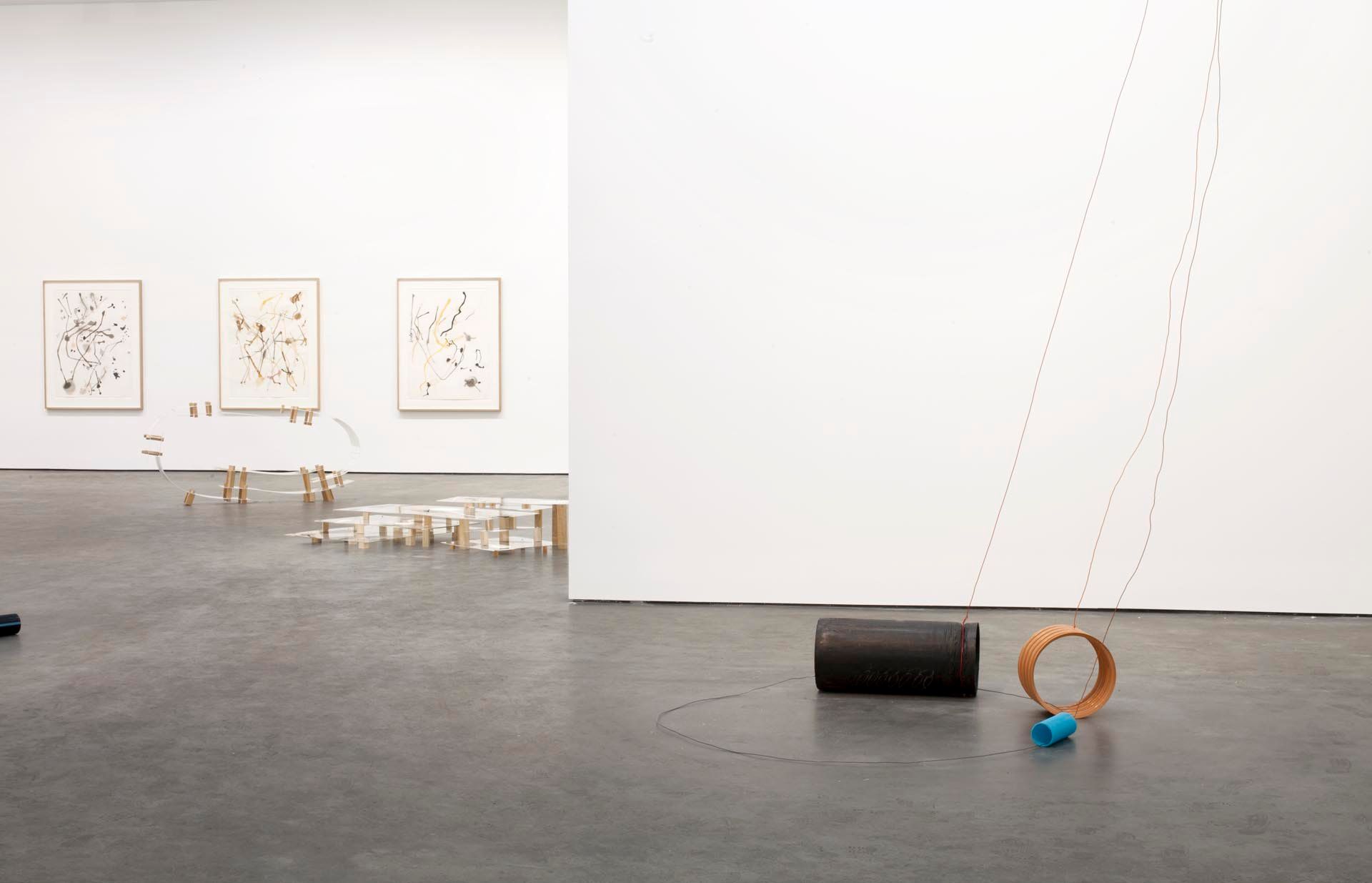 Installation view of the exhibition Al Taylor: Pet Stains, Puddles, and Full Gospel Neckless at David Zwirner in New York, dated 2015.