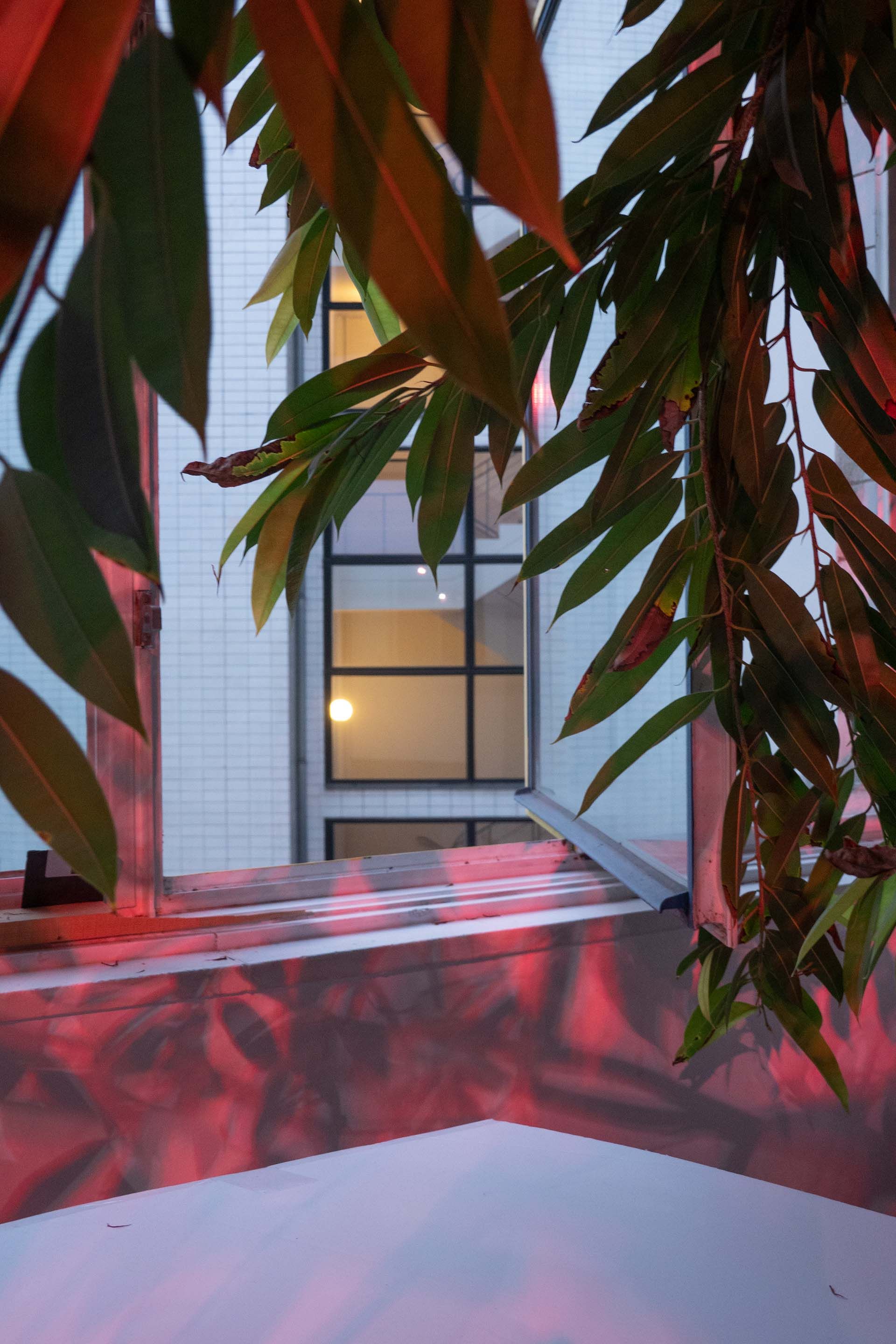 A photograph by Wolfgang Tillmans, titled Window Left Open, dated 2023.