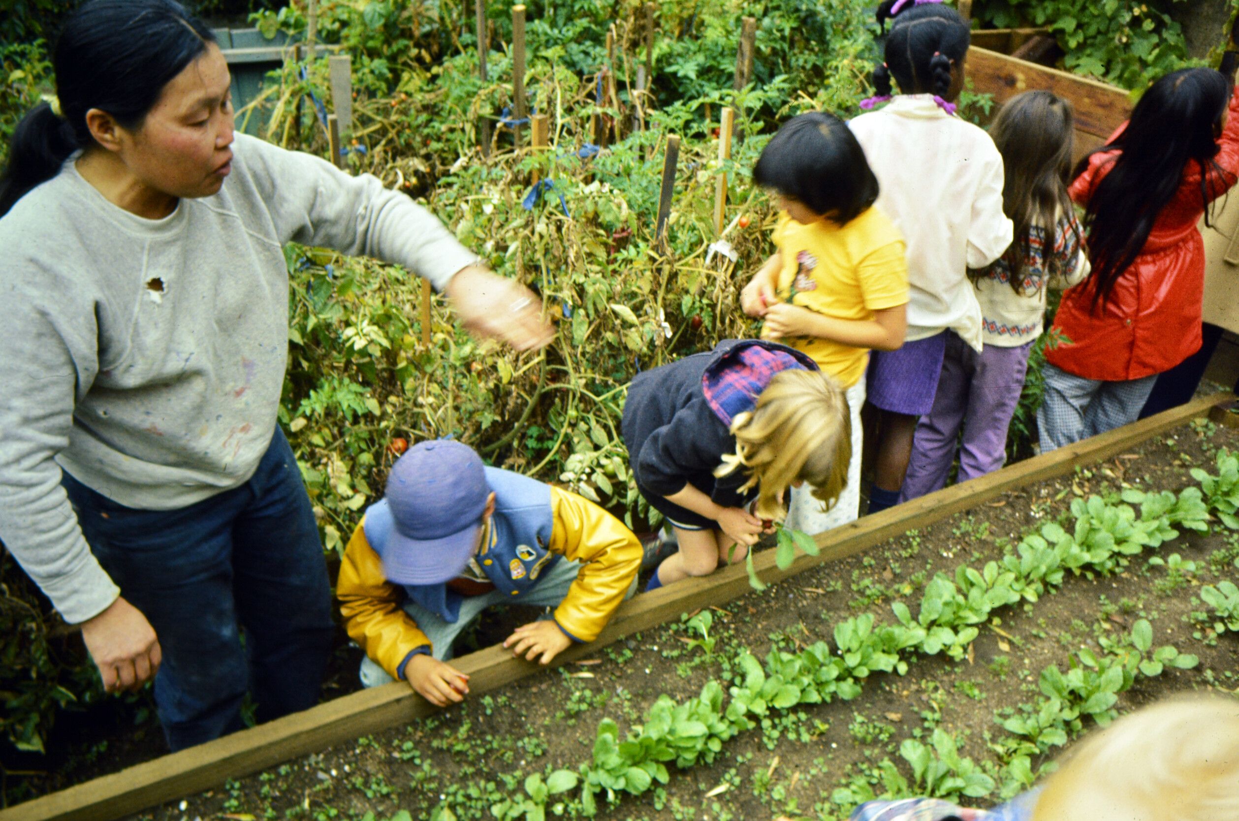 Ruth Asawa with schoolchildren in the garden of her Noe Valley home, c. 1976.
