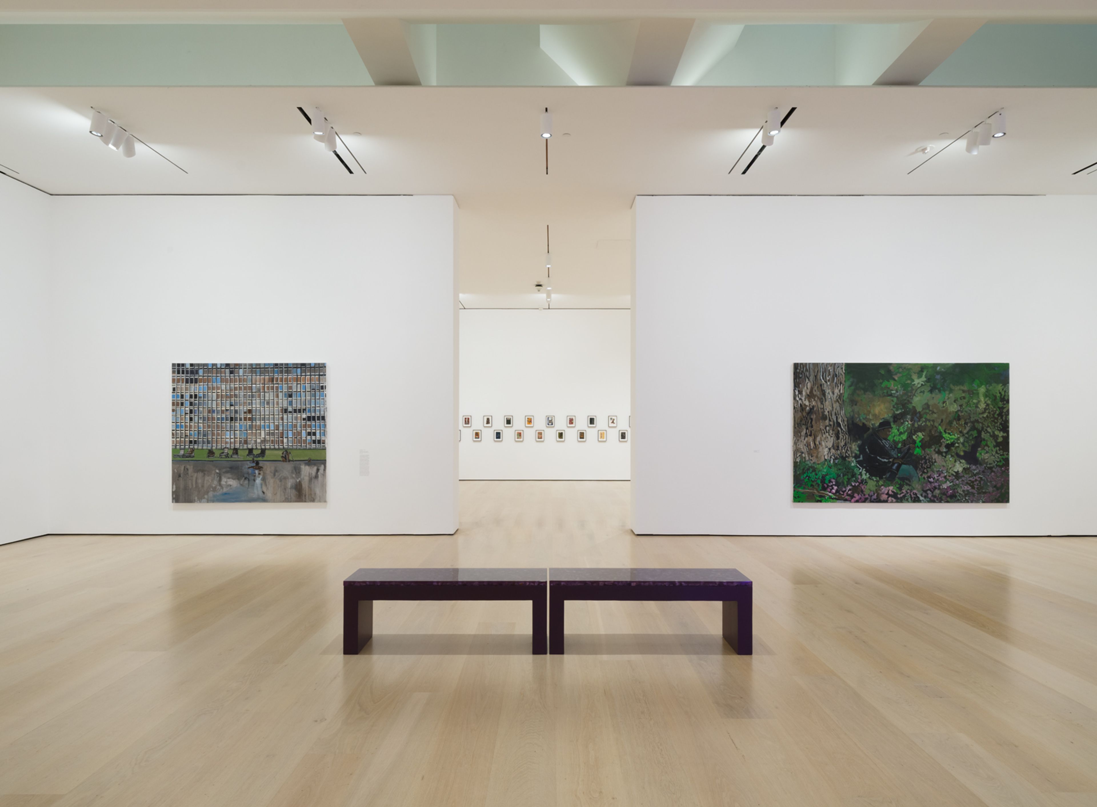 Installation view of the exhibition Noah Davis Marshall at the Hammer Museum in Los Angeles, dated 2025