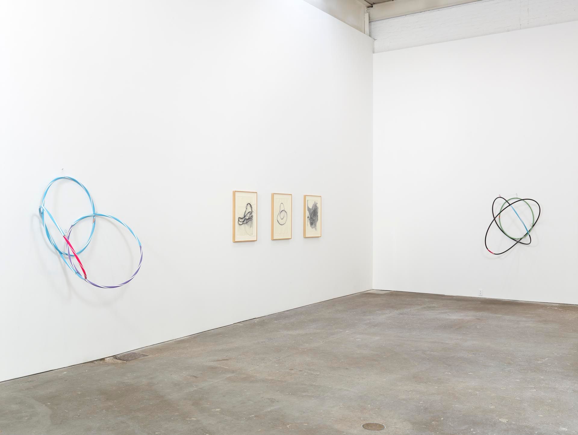 Installation view of the exhibition Al Taylor: Pass the Peas and Can Studys, at David Zwirner in New York, dated 2012.