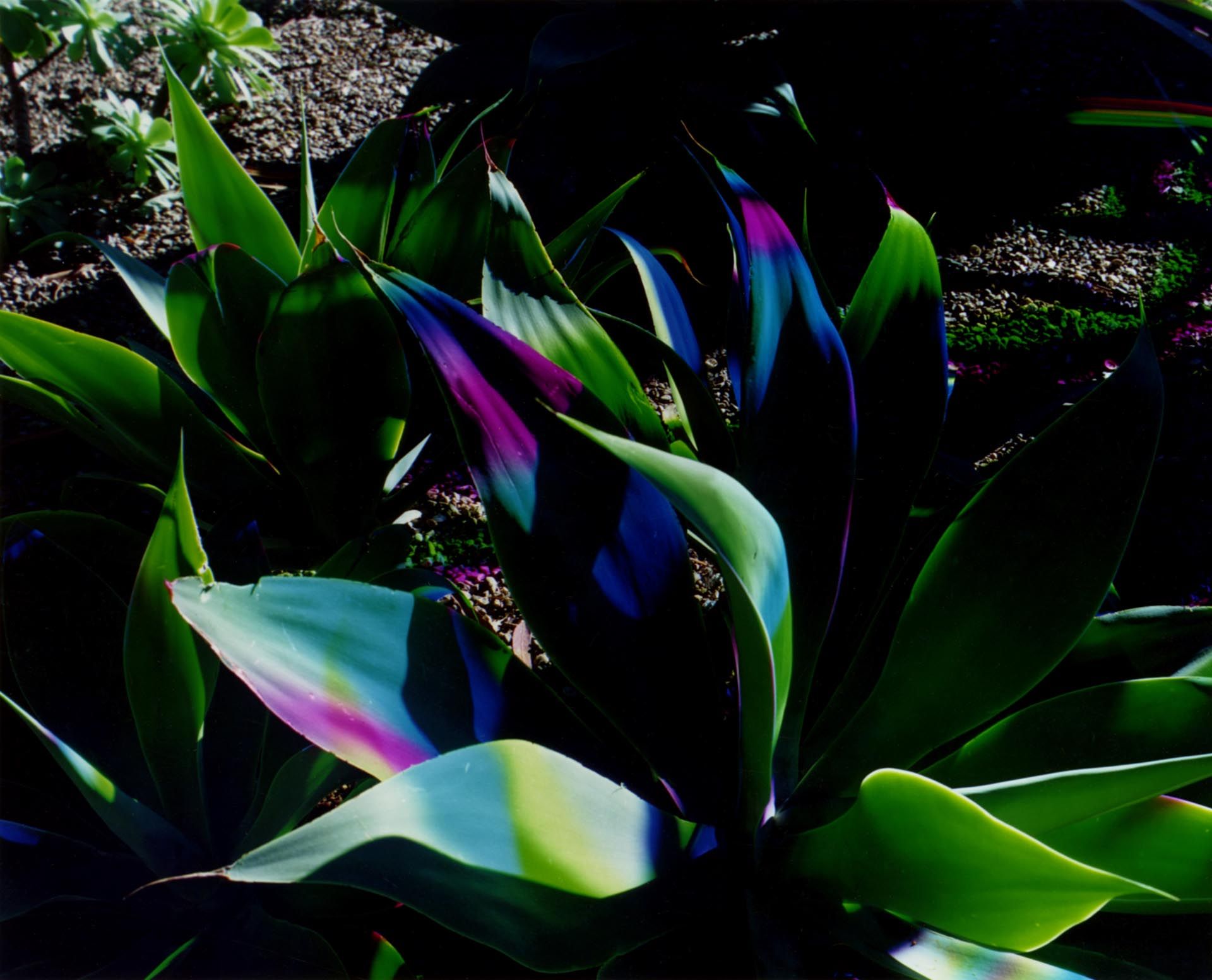 A photograph by James Welling, titled H4, dated 2006. 