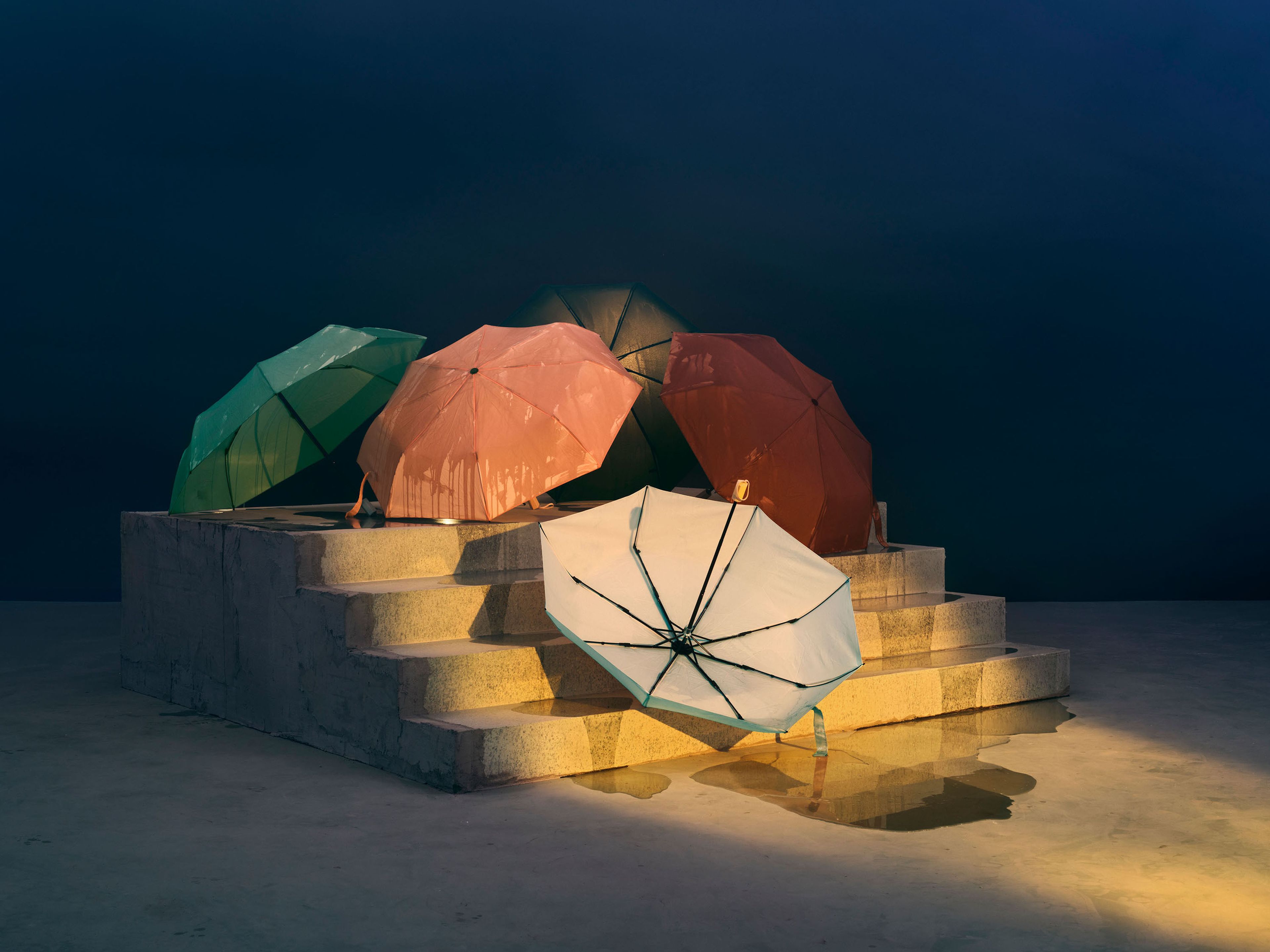 A detail from a photograph by Chen Wei, titled Flowers on the Steps, dated 2024.