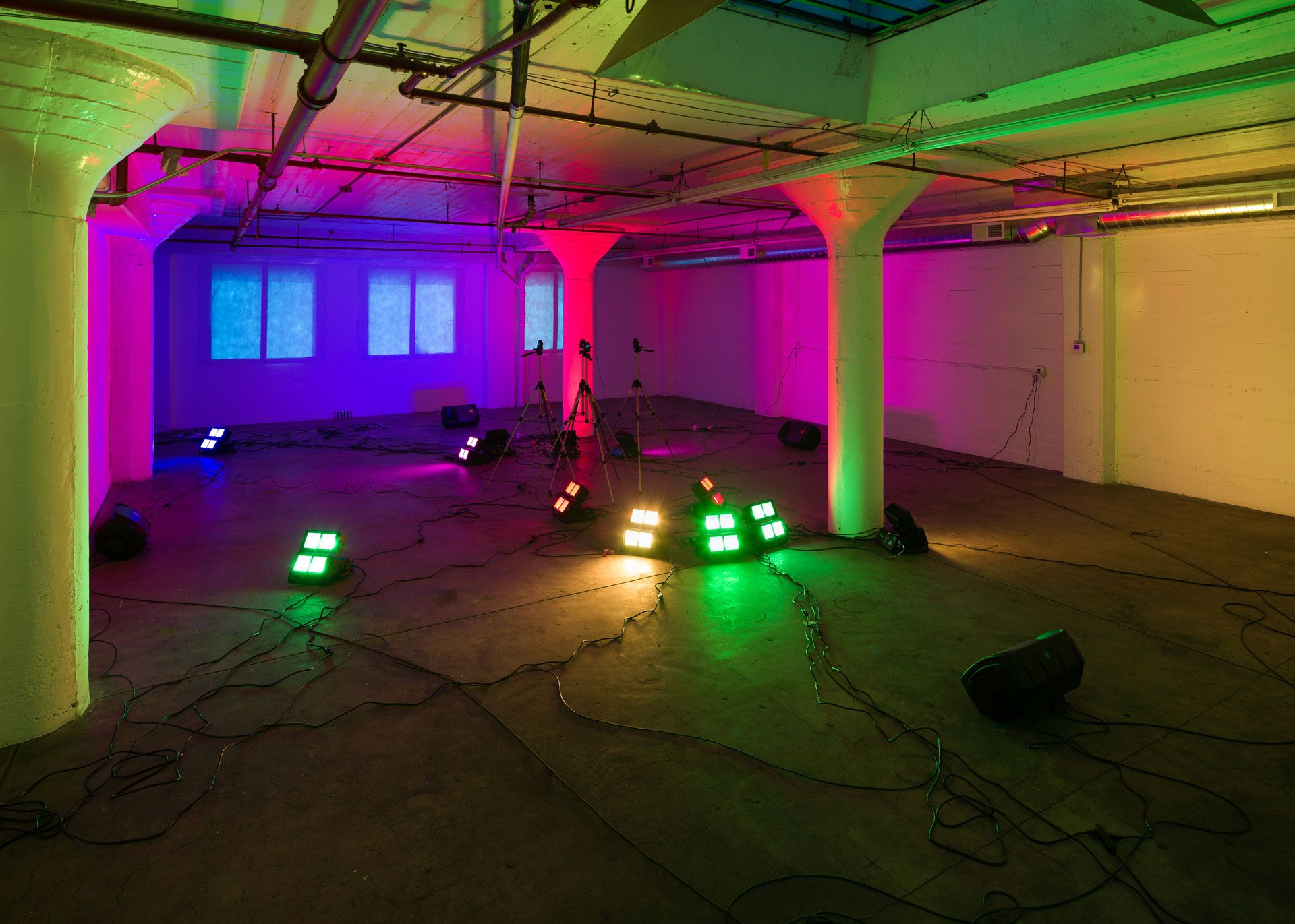 An installation view featuring Diana Thater, Yes there will be singing, dated 2020