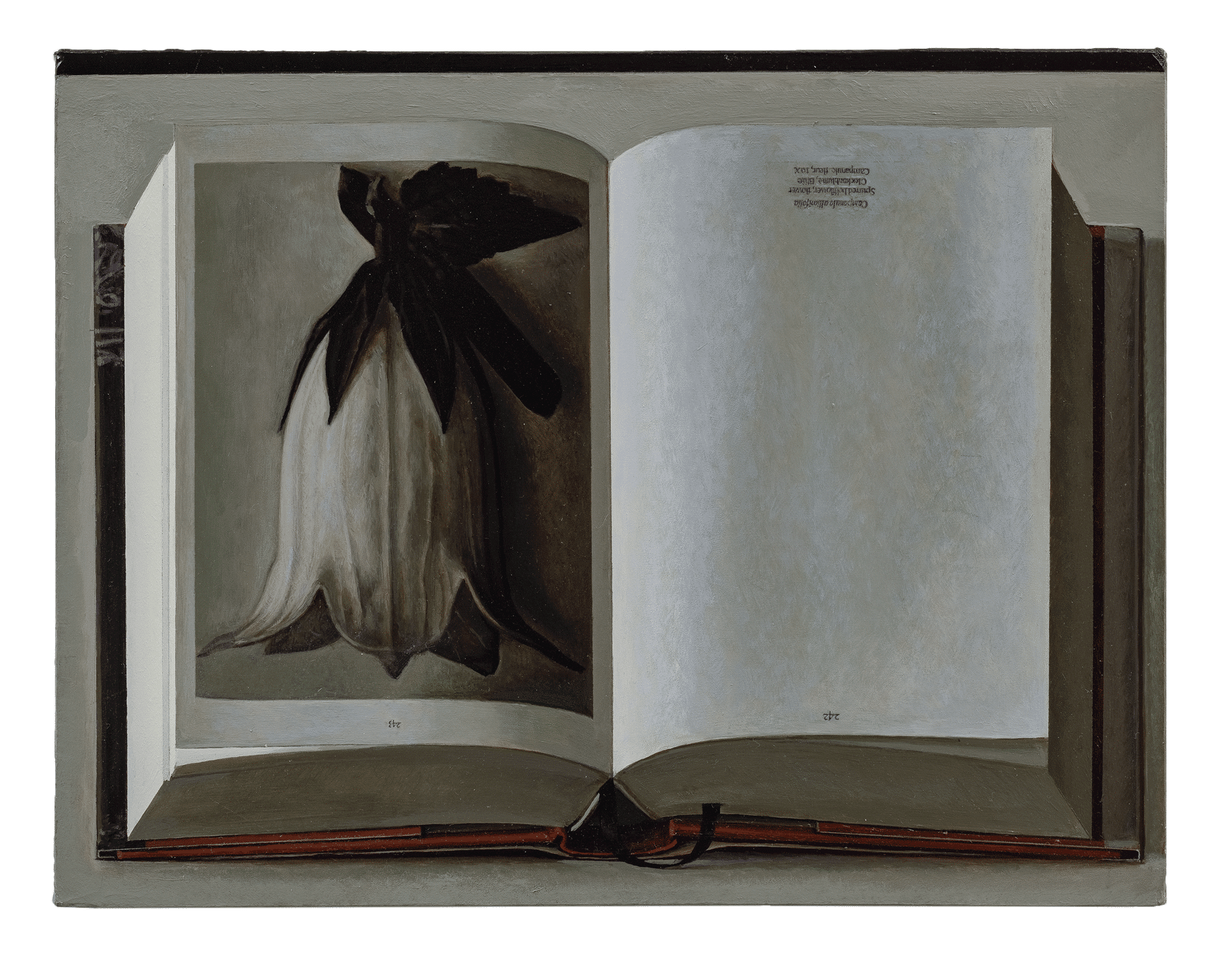 A painting by Liu Ye, titled Book Painting No. 21 (Karl Blossfeldt, The Complete Published Work, Taschen GMBH, 2017), dated 2018.