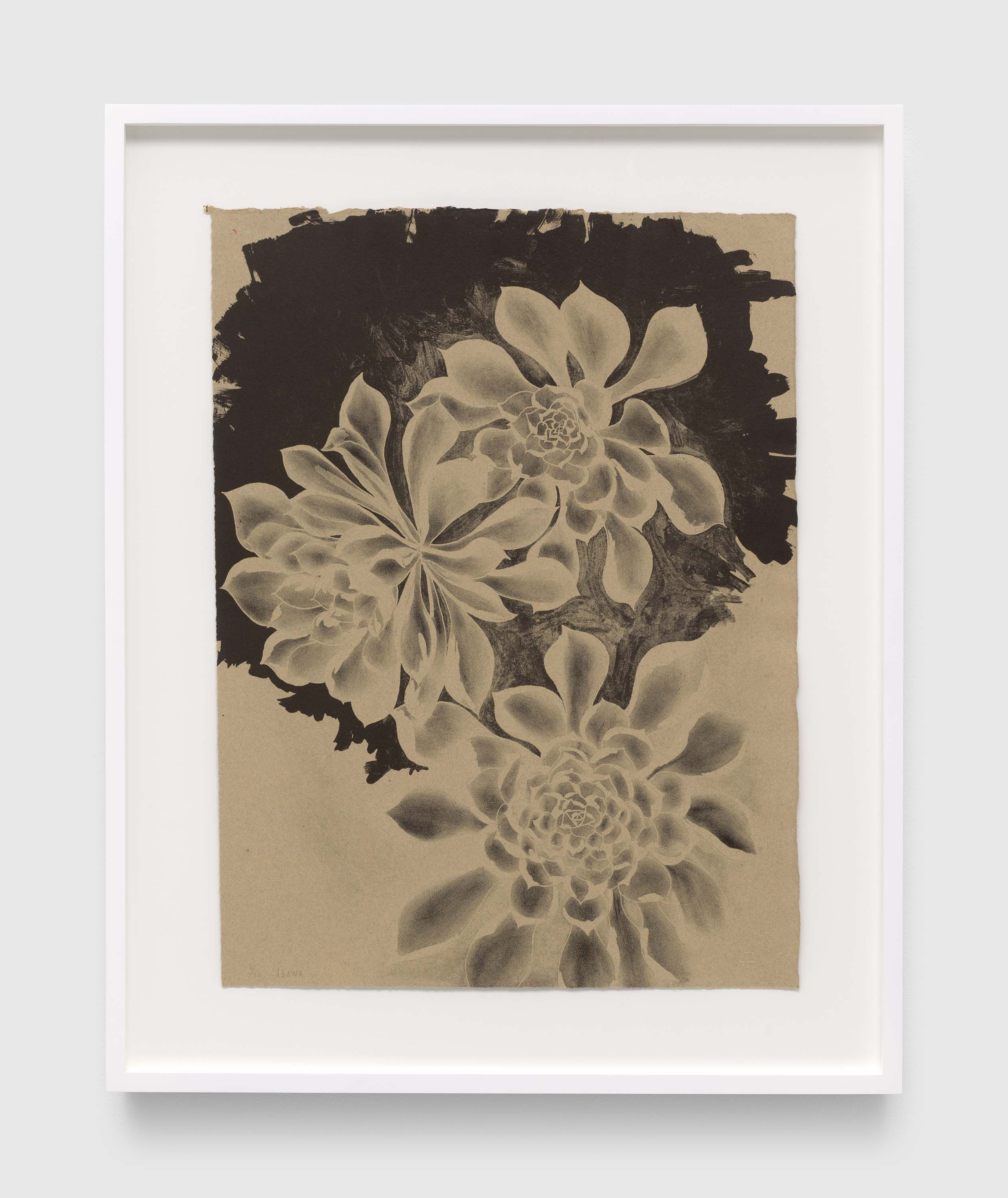 A print by Ruth Asawa, titled Succulents (TAM.1475, Three Succulents on Dark Background), dated 1965.
