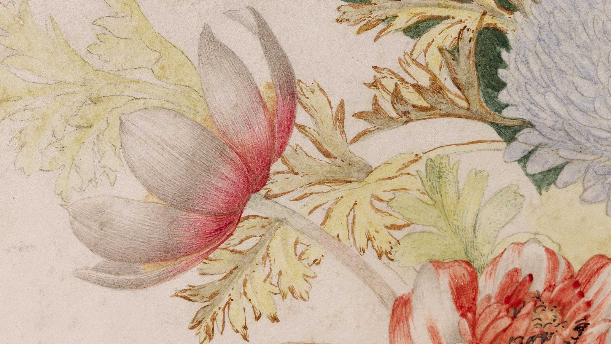 A detail from a painting by Giovanna Garzoni, titled Still life of flowers in a glass vase, dated circa 1640-1650.