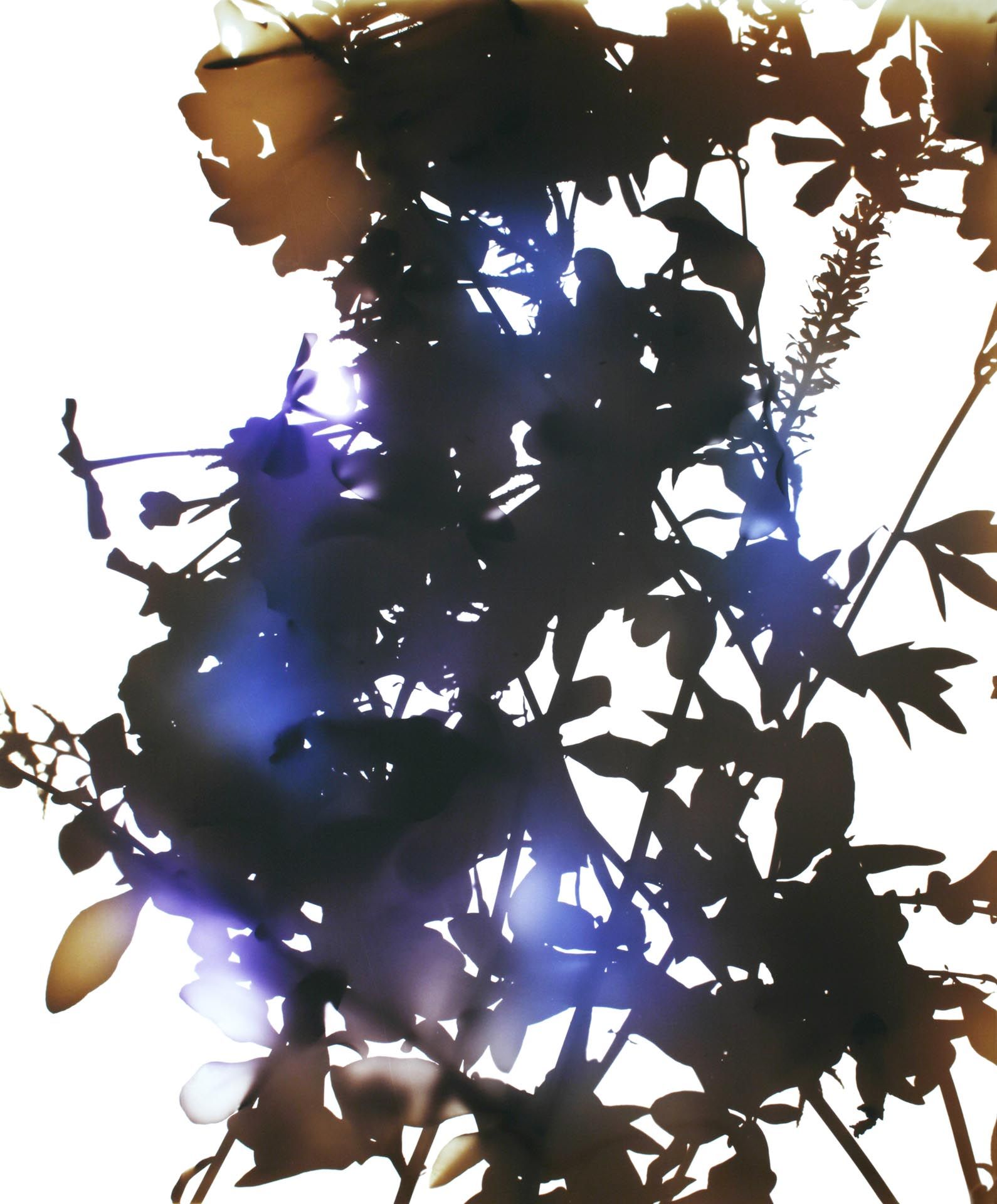 A photograph by James Welling, titled 022, dated 2006. 