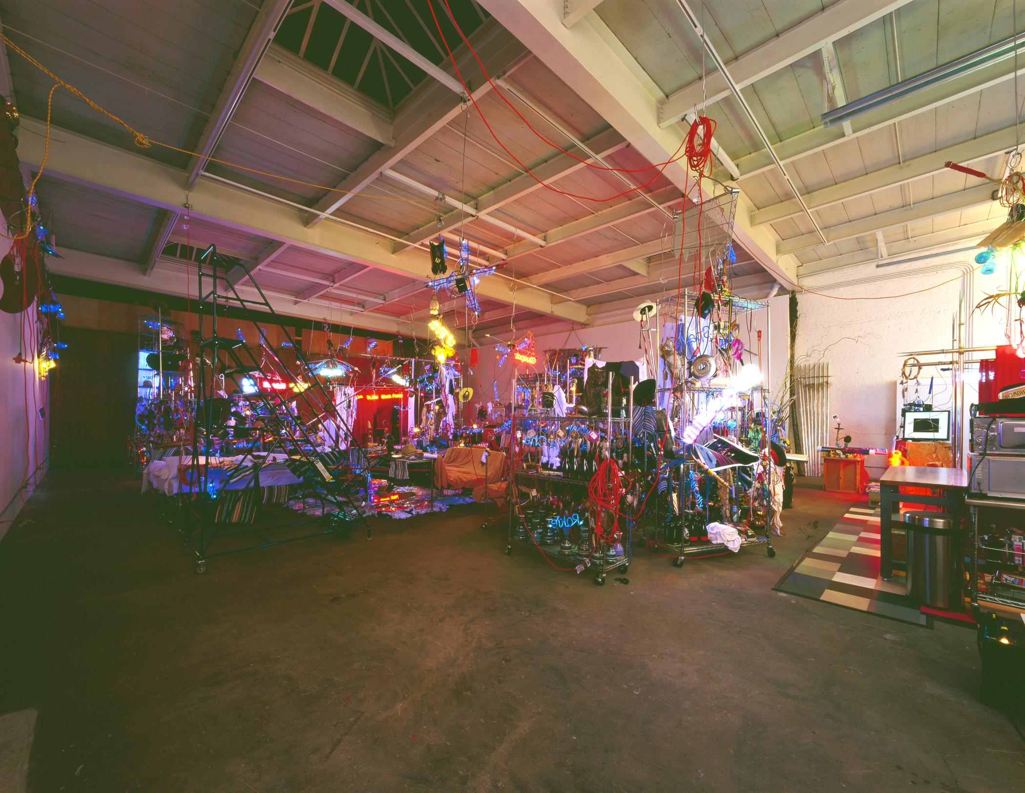 Installation view of the exhibition, Black Pussy, at David Zwirner in New York, dated November 2007—January 2008.