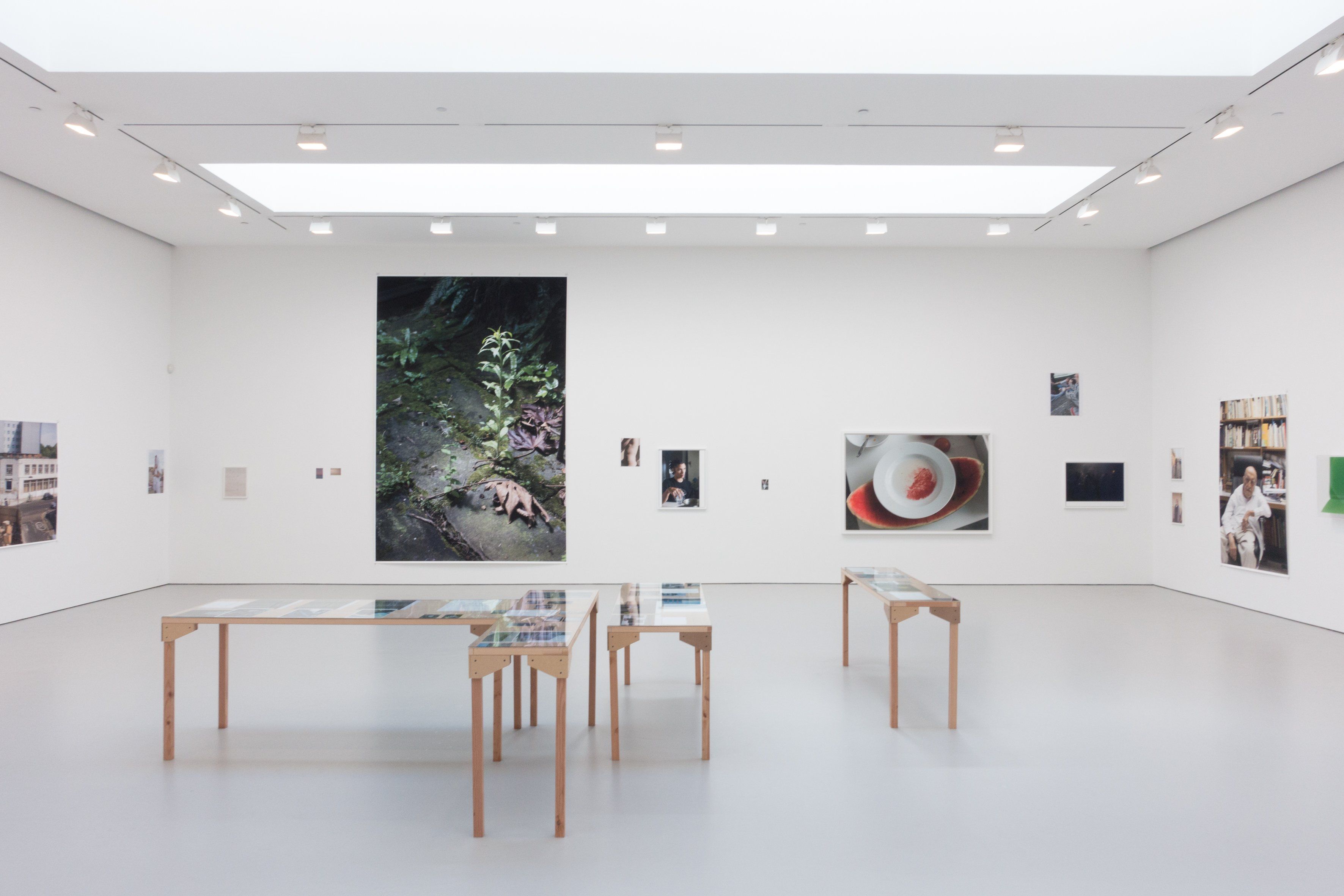 Installation view of the exhibition Wolfgang Tillmans: PCR at David Zwirner in New York, dated 2015.