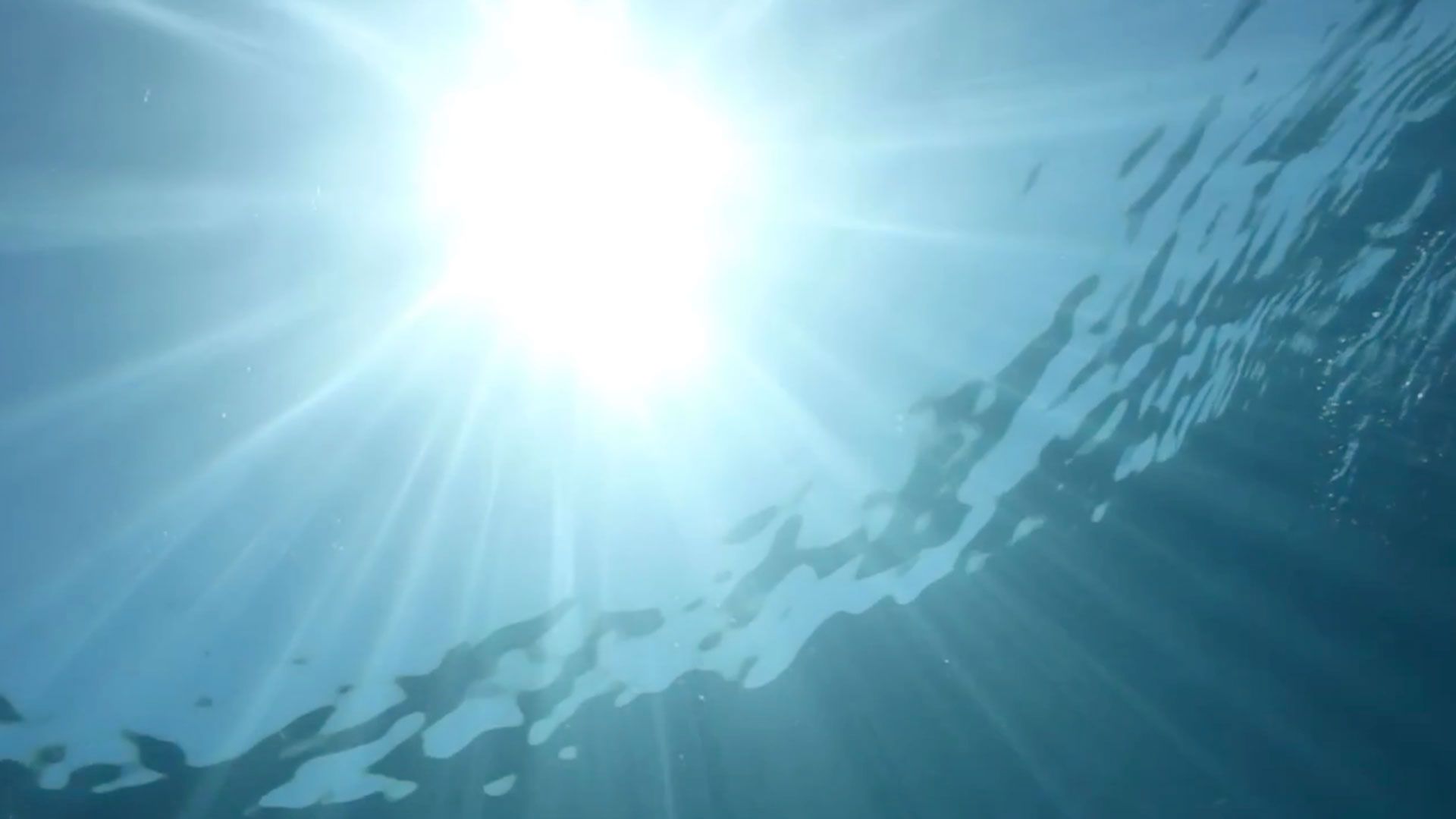 A digital image featuring an underwater landscape, dated 2020