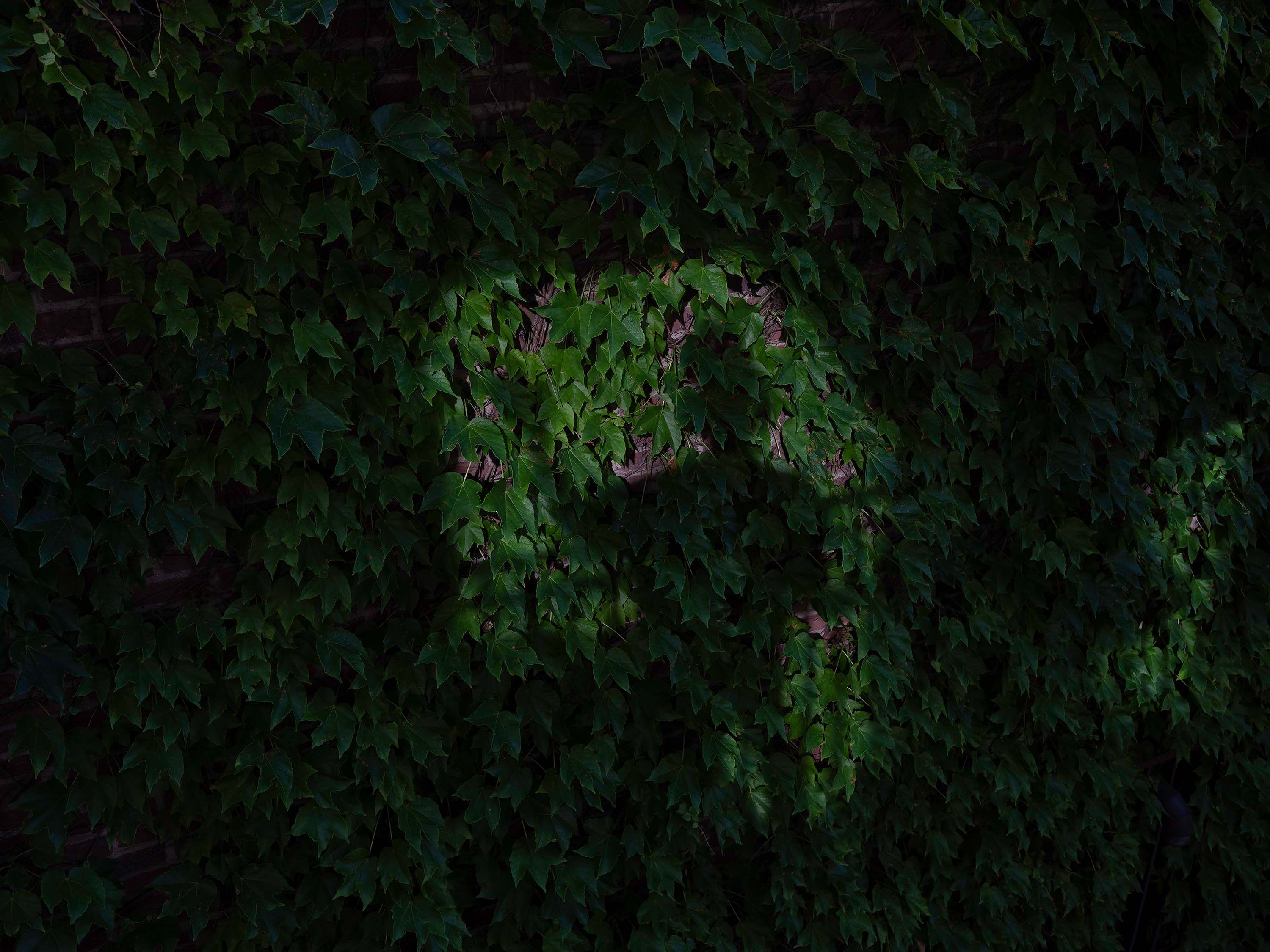 An archival inkjet print by Chinaedu Nwadibia, titled Unumpentium, dated 2021.
