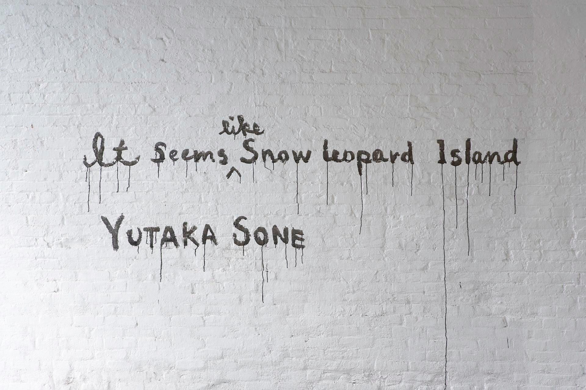 Installation view of the exhibition Yutaka Sone: It Seems Like Snow Leopard Island, at David Zwirner in New York, dated 2006.